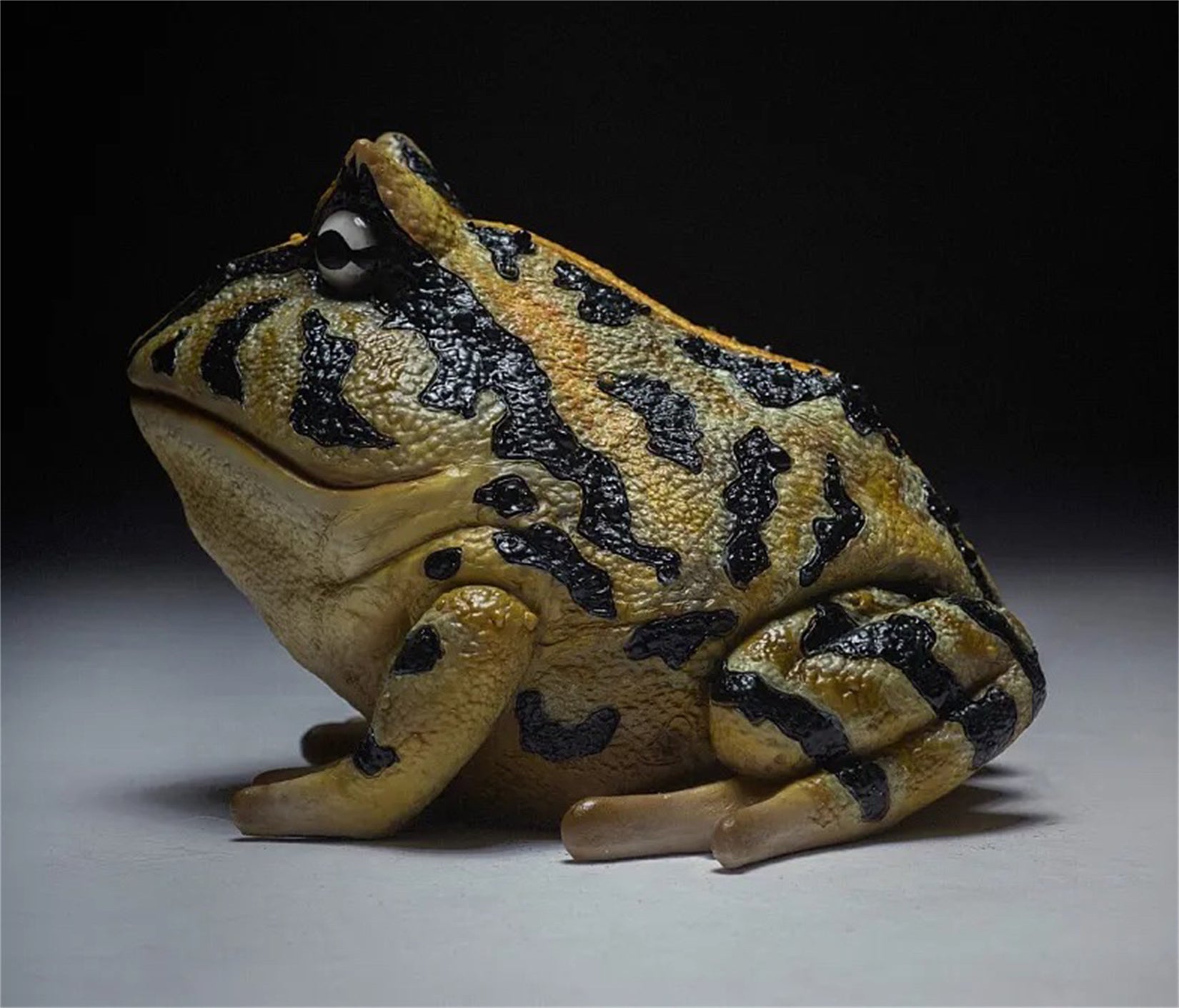 Schildkröten-Serie Tiermodell 