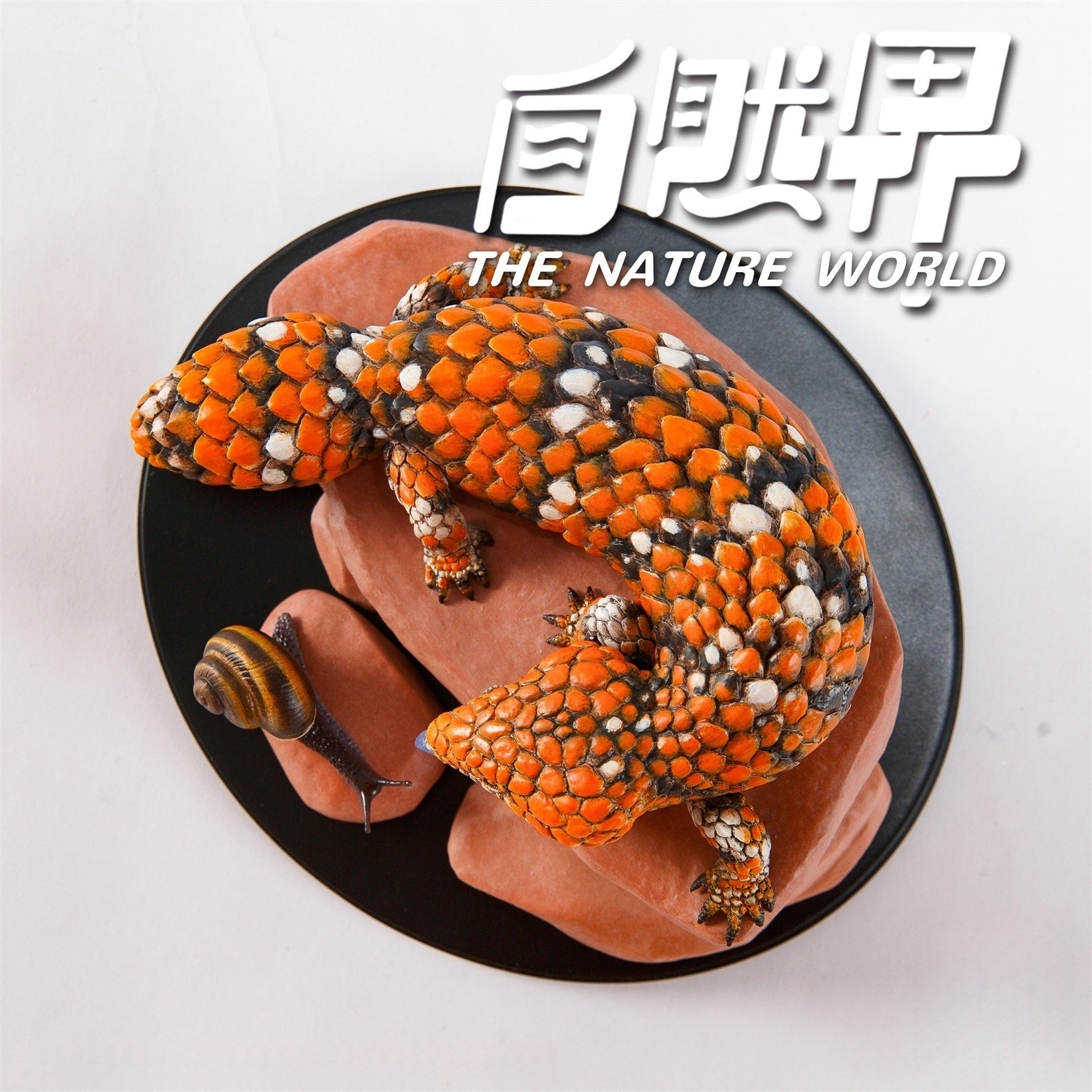 Animal Planet  Trachydosaurus Rugosus Model