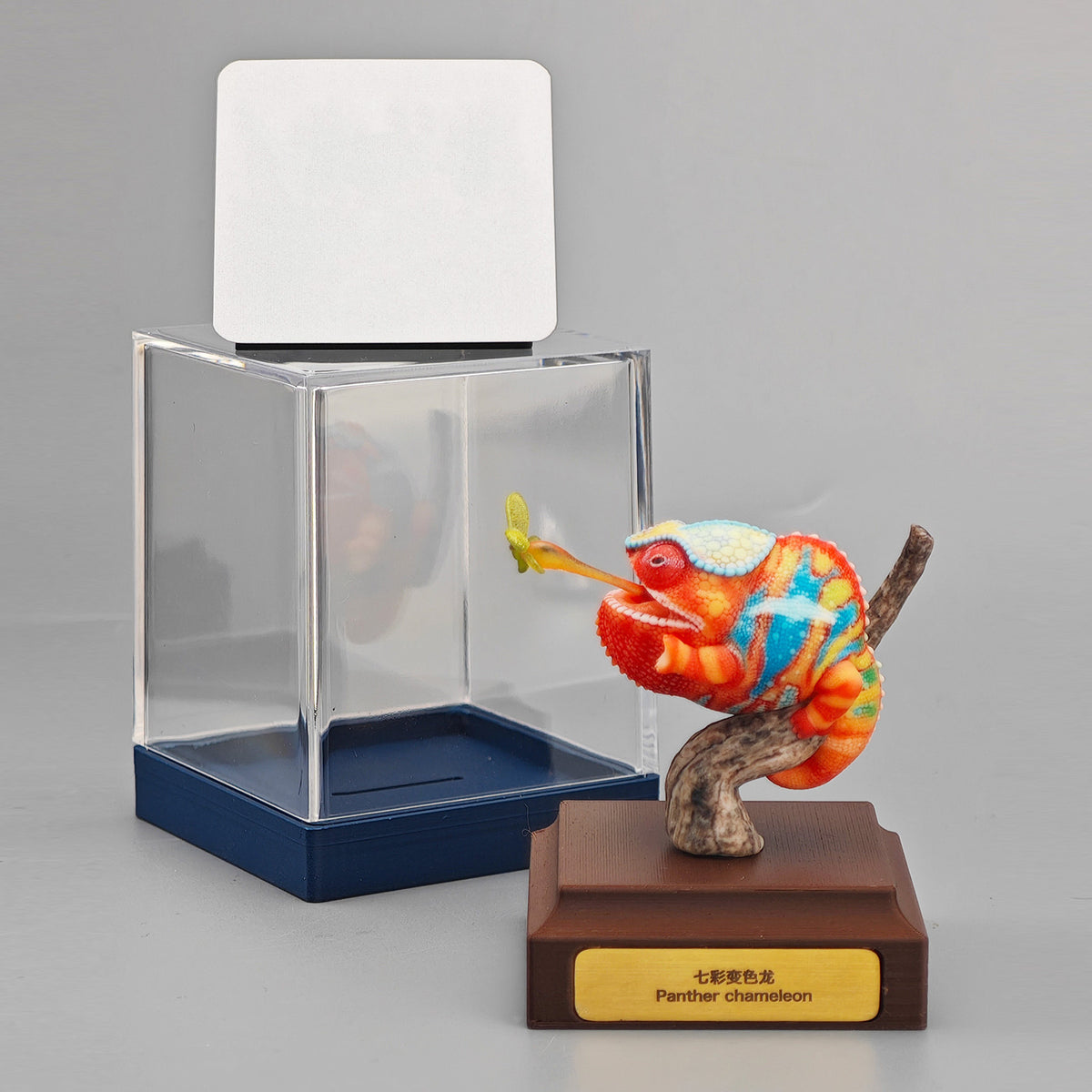 ViVid Studio Panther Chameleon Model  Furcifer Pardalis Figure