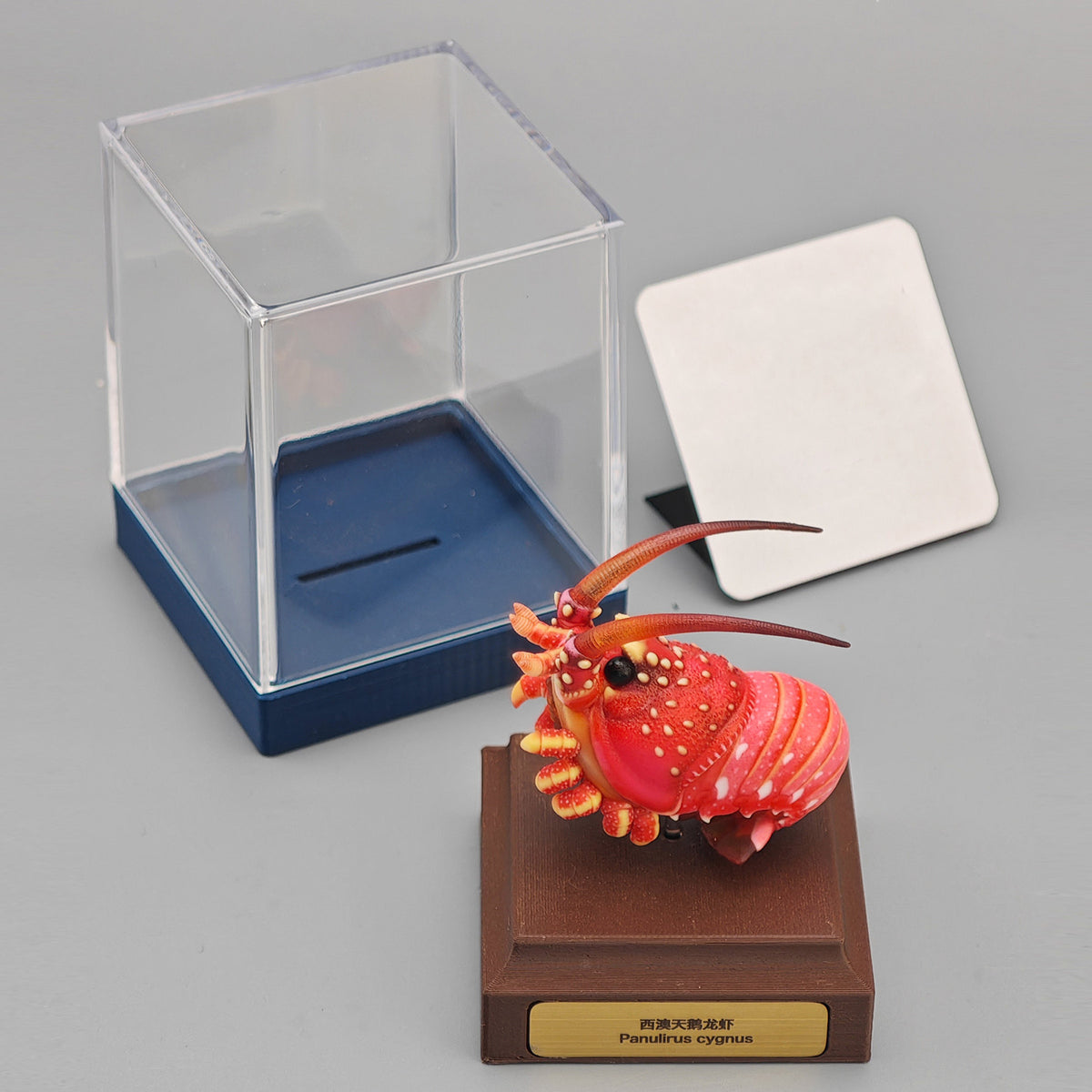 ViVid Studio Western Rock Lobster Figure