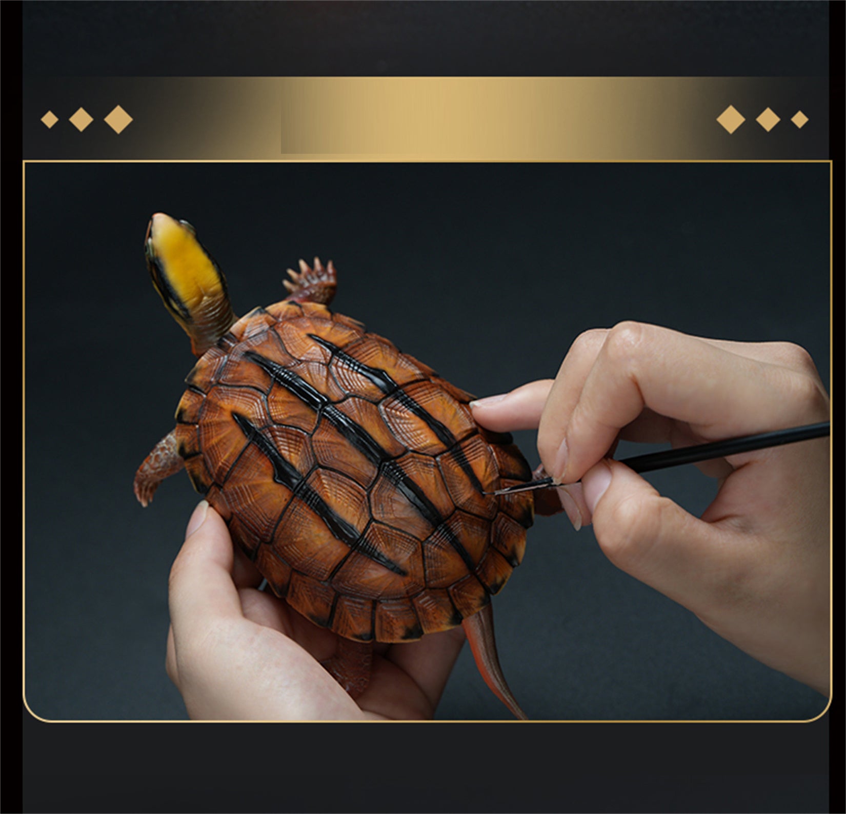 Chinese Three-striped Box Turtle Model