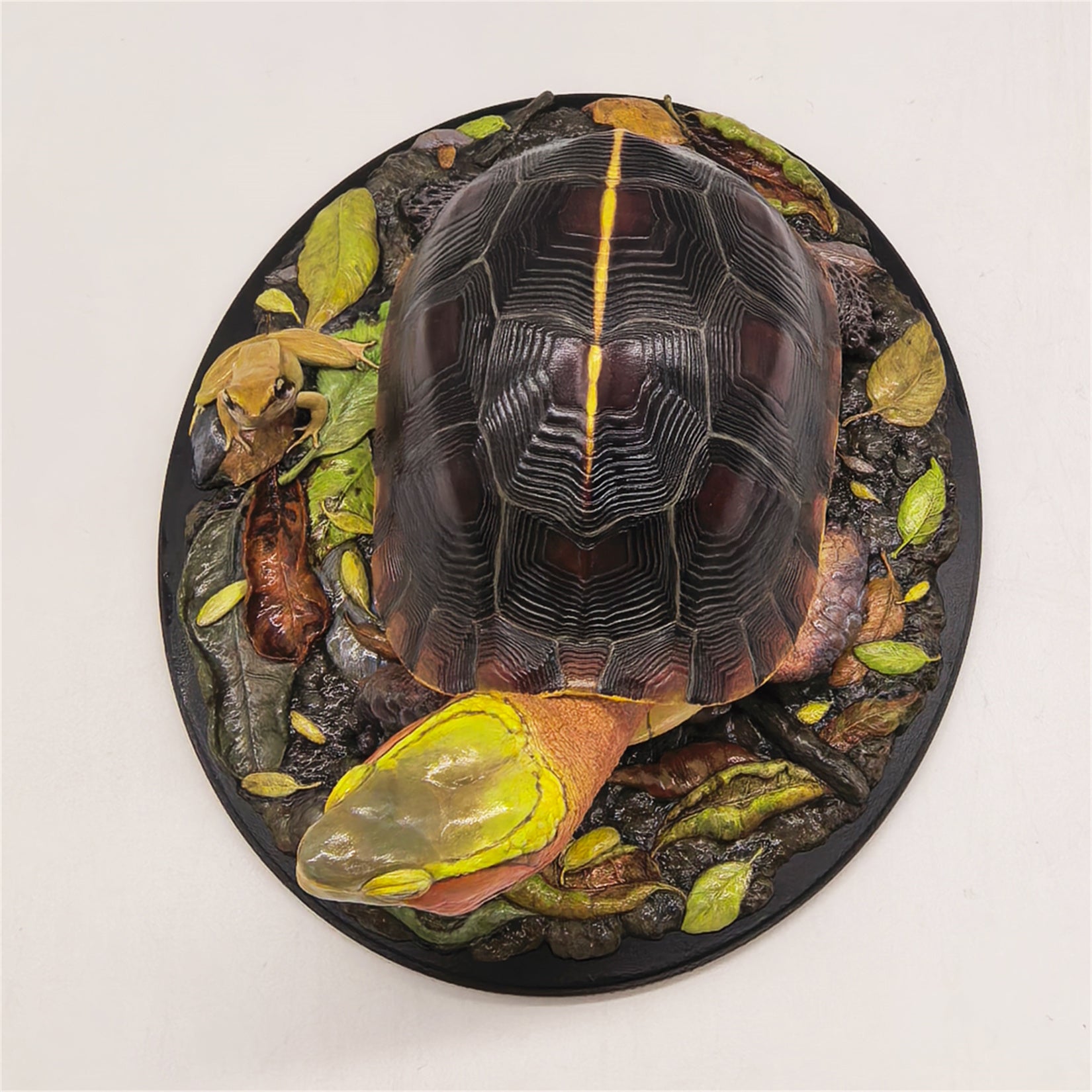 Animal Planet Yellow-margined Box Turtle Model