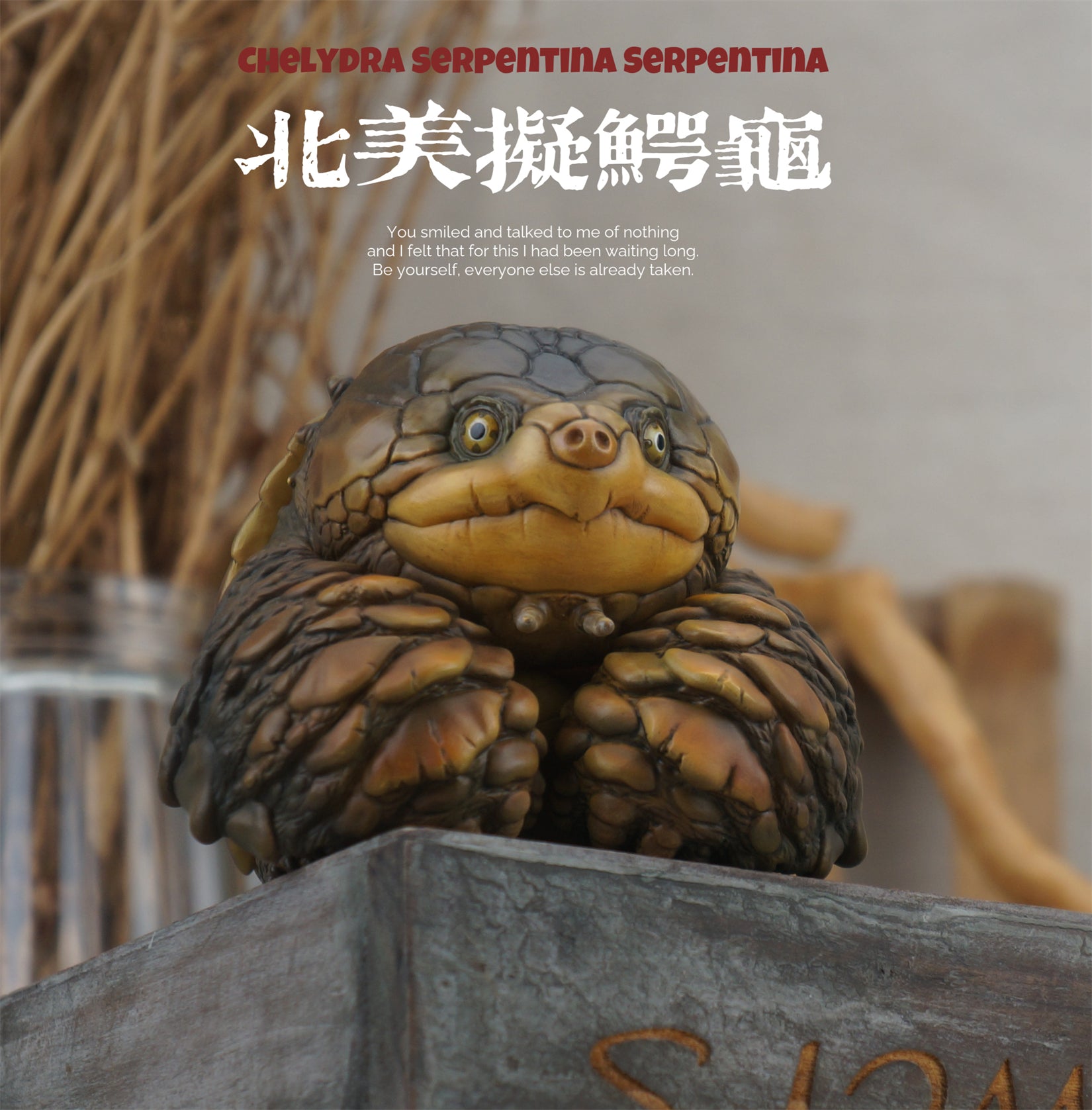 Common Snapping Turtle‌ & Ploughshare Tortoise‌ Figure