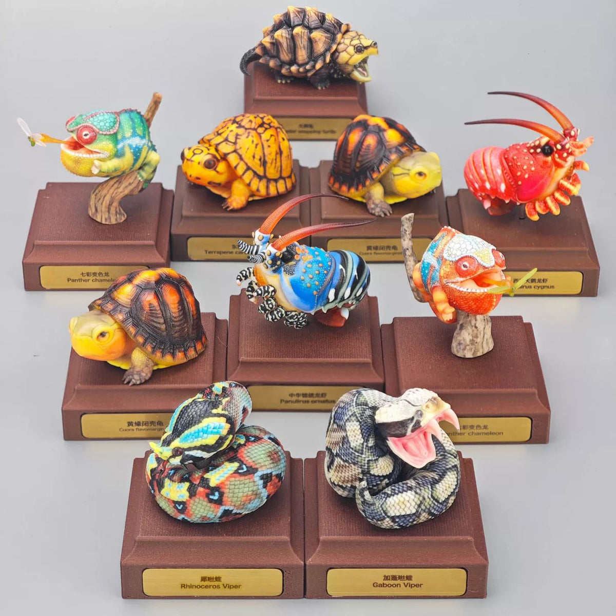 ViVid Studio Rhinoceros Viper & Gaboon Viper Model