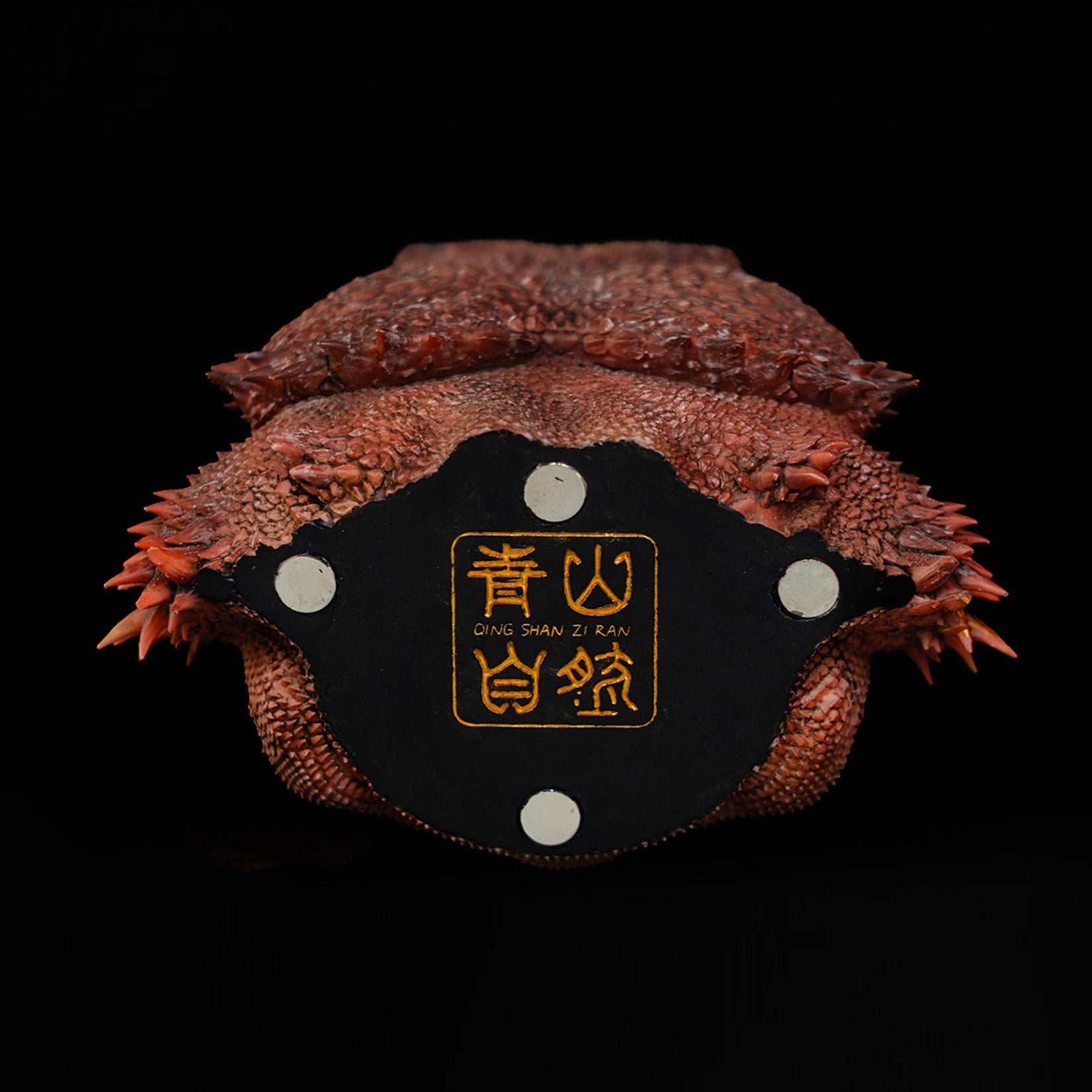 Pogona Vitticeps Head Model