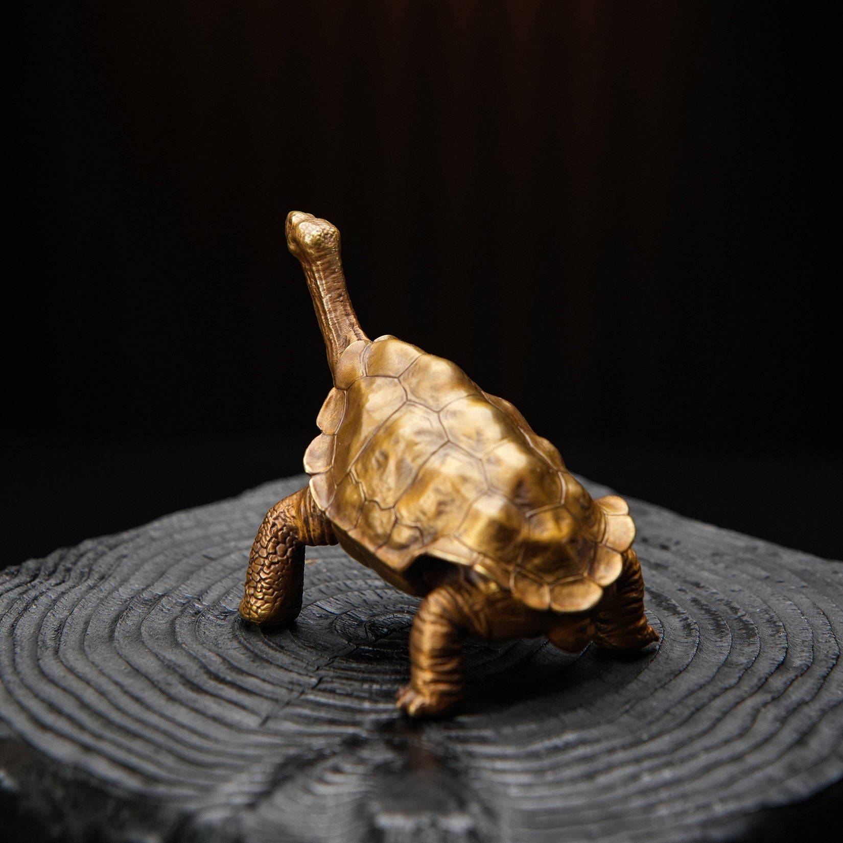 BOWUZHI Studio ‌Galapagos Giant Tortoise Figure