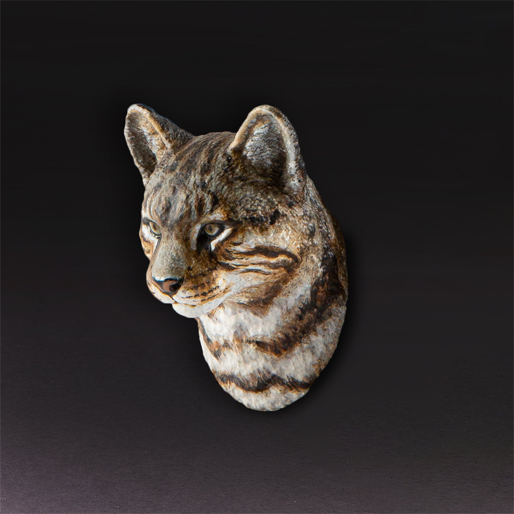 Animal Planet  World Encyclopedia Of Animals