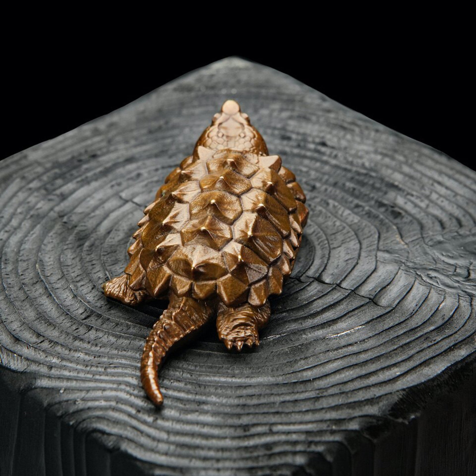 BOWUZHI Studio Macrochelys Temminckii Bronze Model