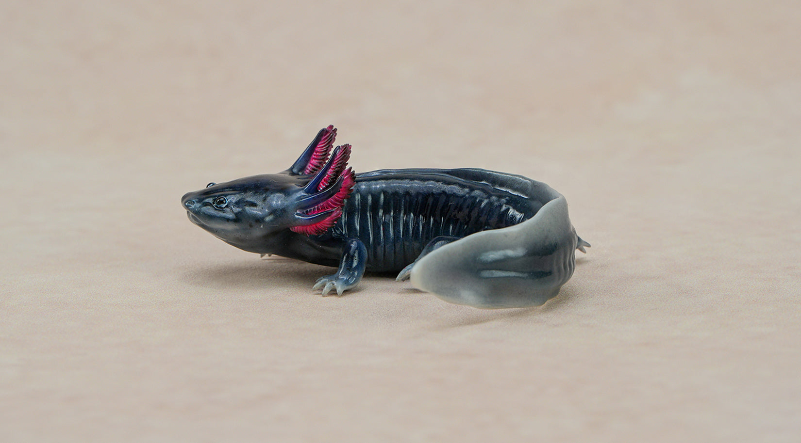1：2 Scale Ambystoma Mexicanum Model Axolotl Figure