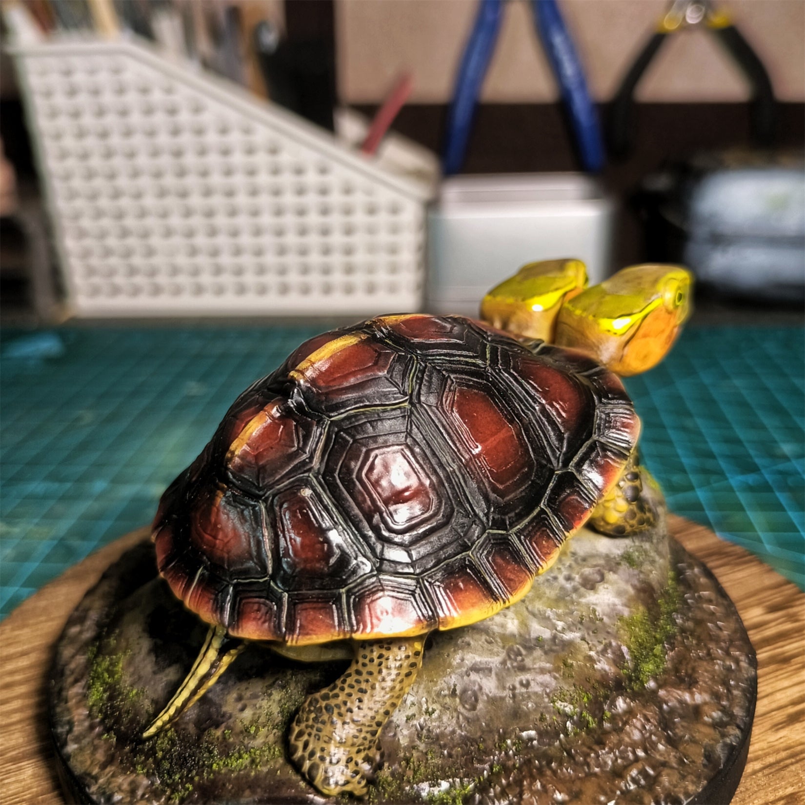 Two-headed Yellow-margined Box Turtle Model