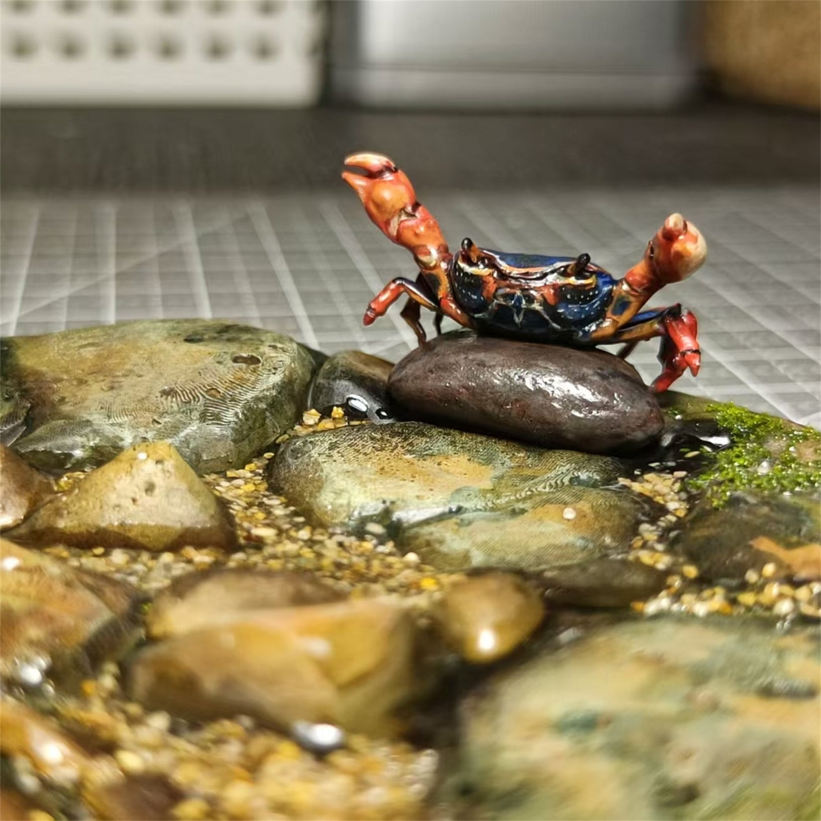 Big-headed Turtle Model