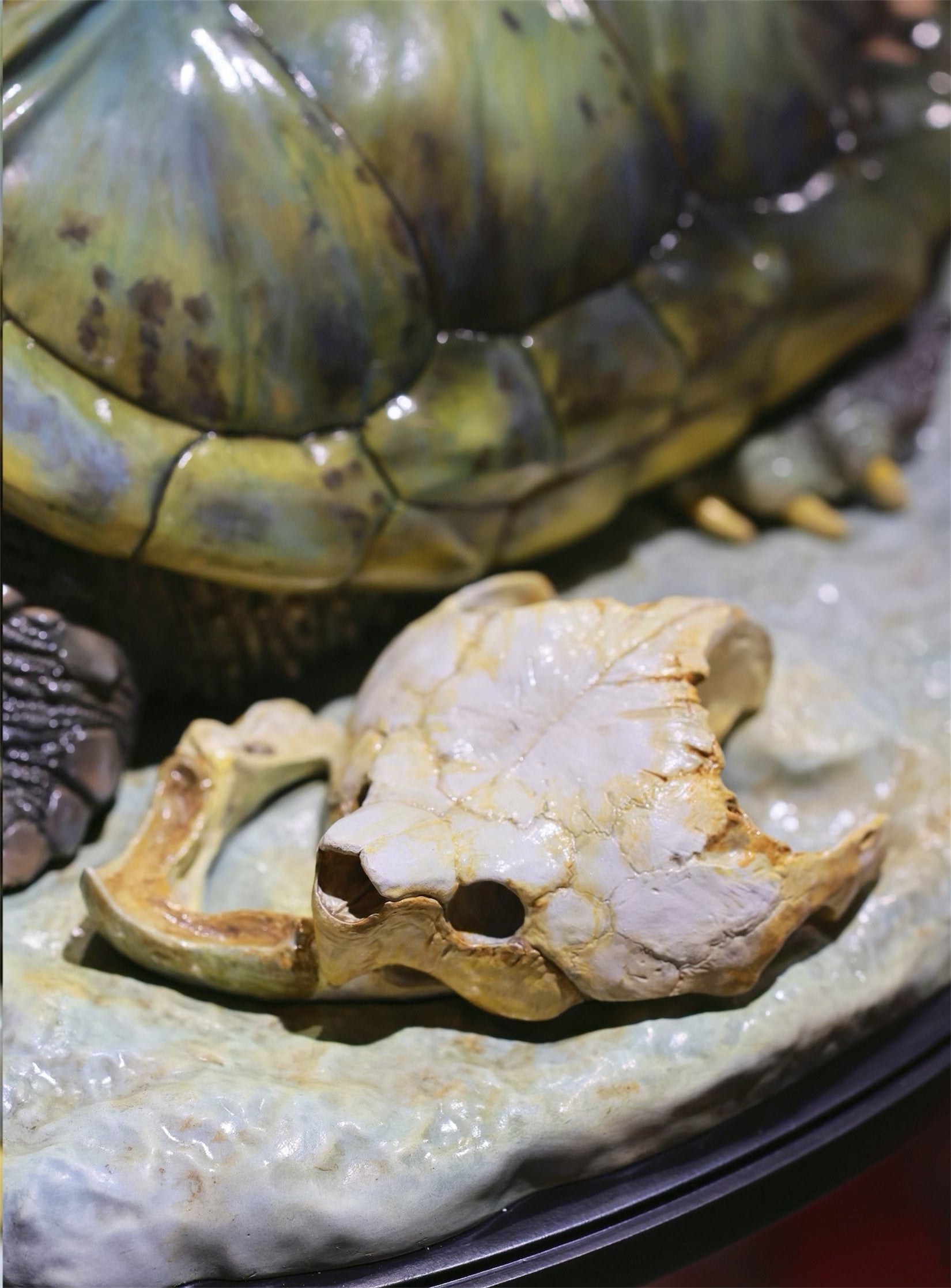 Animal Heavenly Body  Plus Alligator Snapping Turtle Figurine