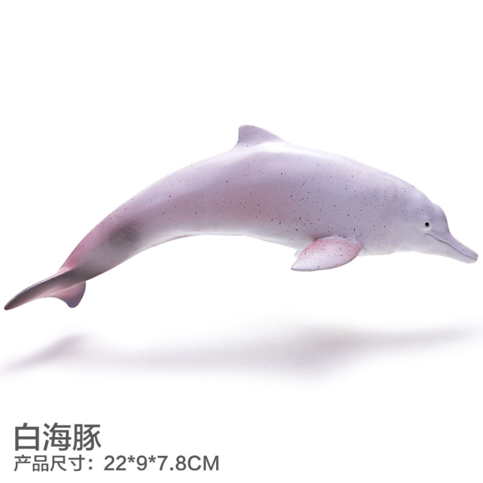 RECUR Dolphin Model Marine Animal