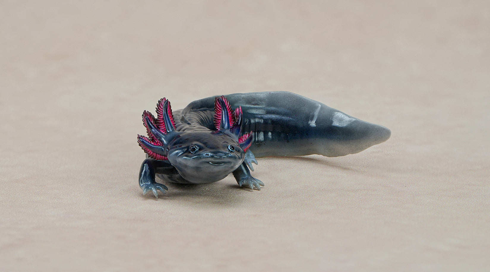 1：2 Scale Ambystoma Mexicanum Model Axolotl Figure