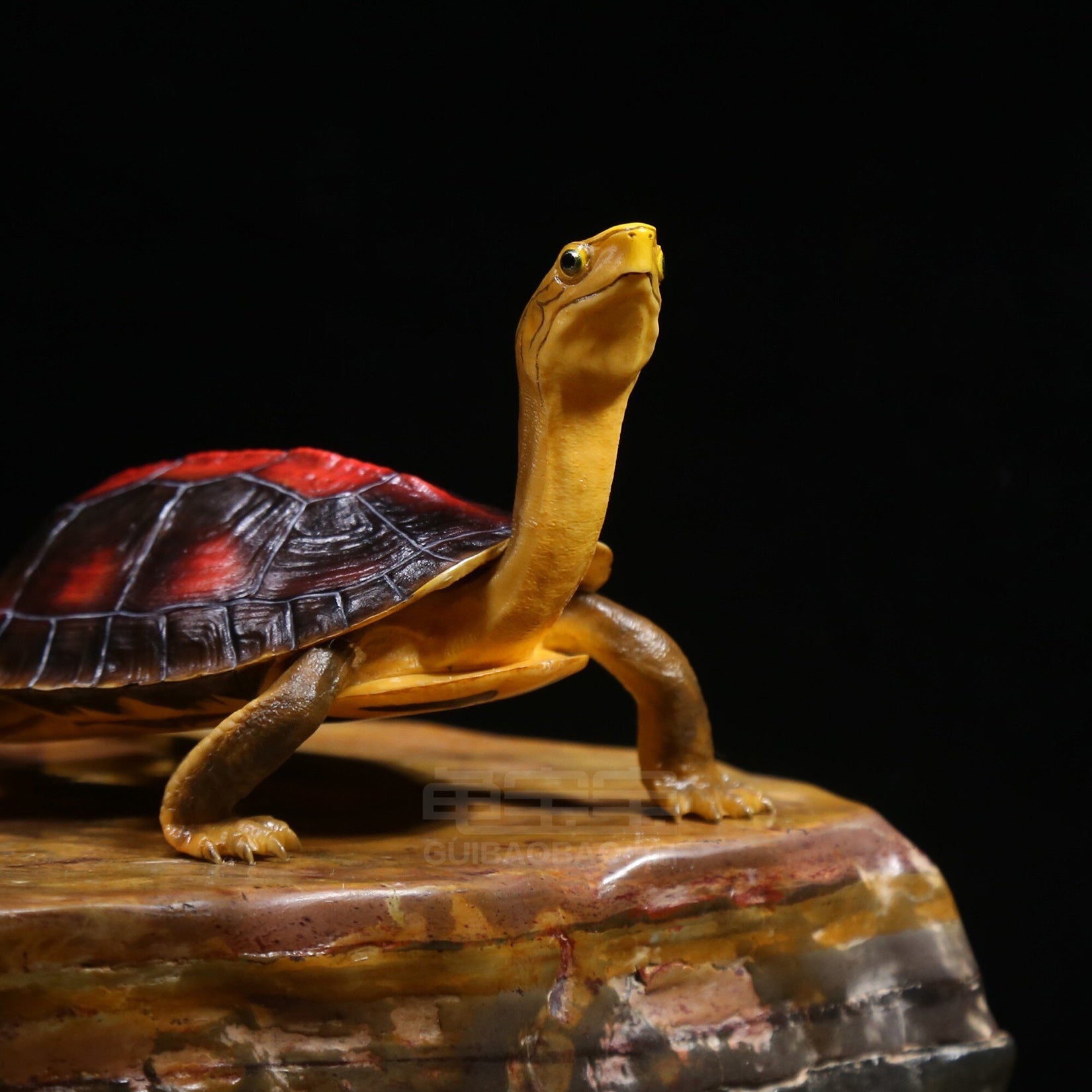 BOWUZHI Studio Cuora Aurocapitata Model