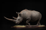 De CLAY Studio White rhinoceros Model
