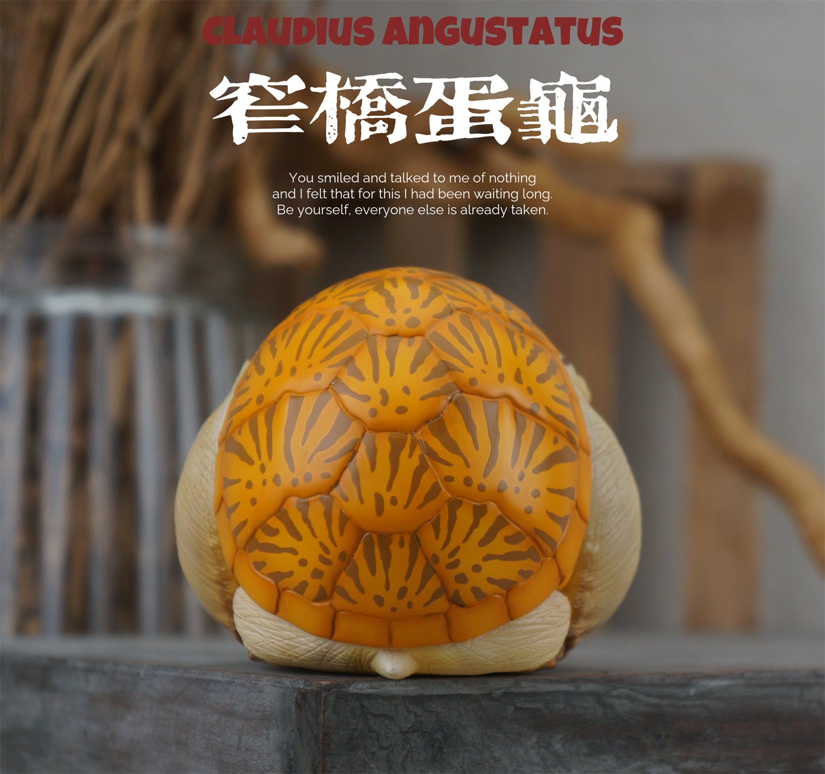 Turtle Series  Animal Model