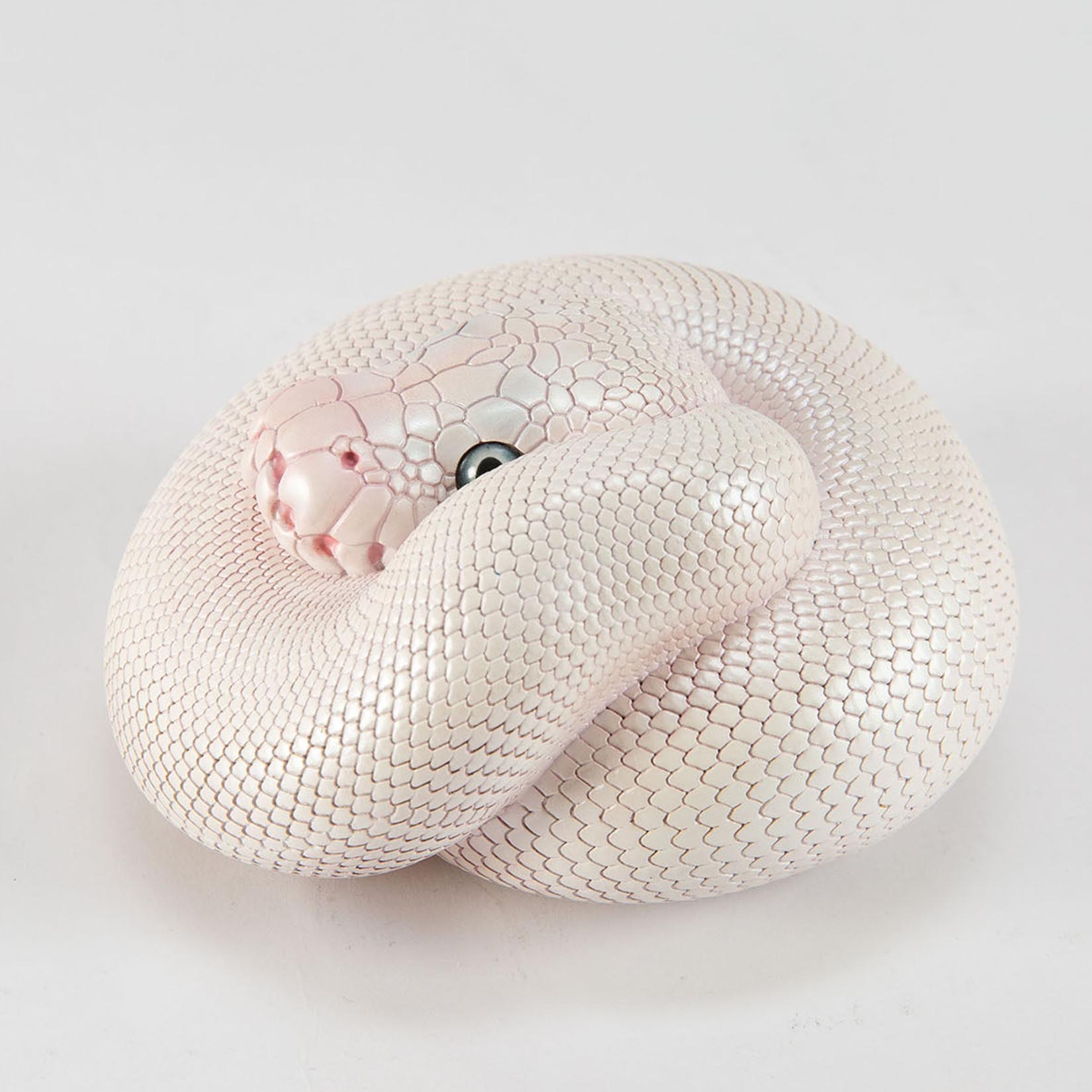 Animal Heavenly Body Plus Ball Python‌ Lucy Model