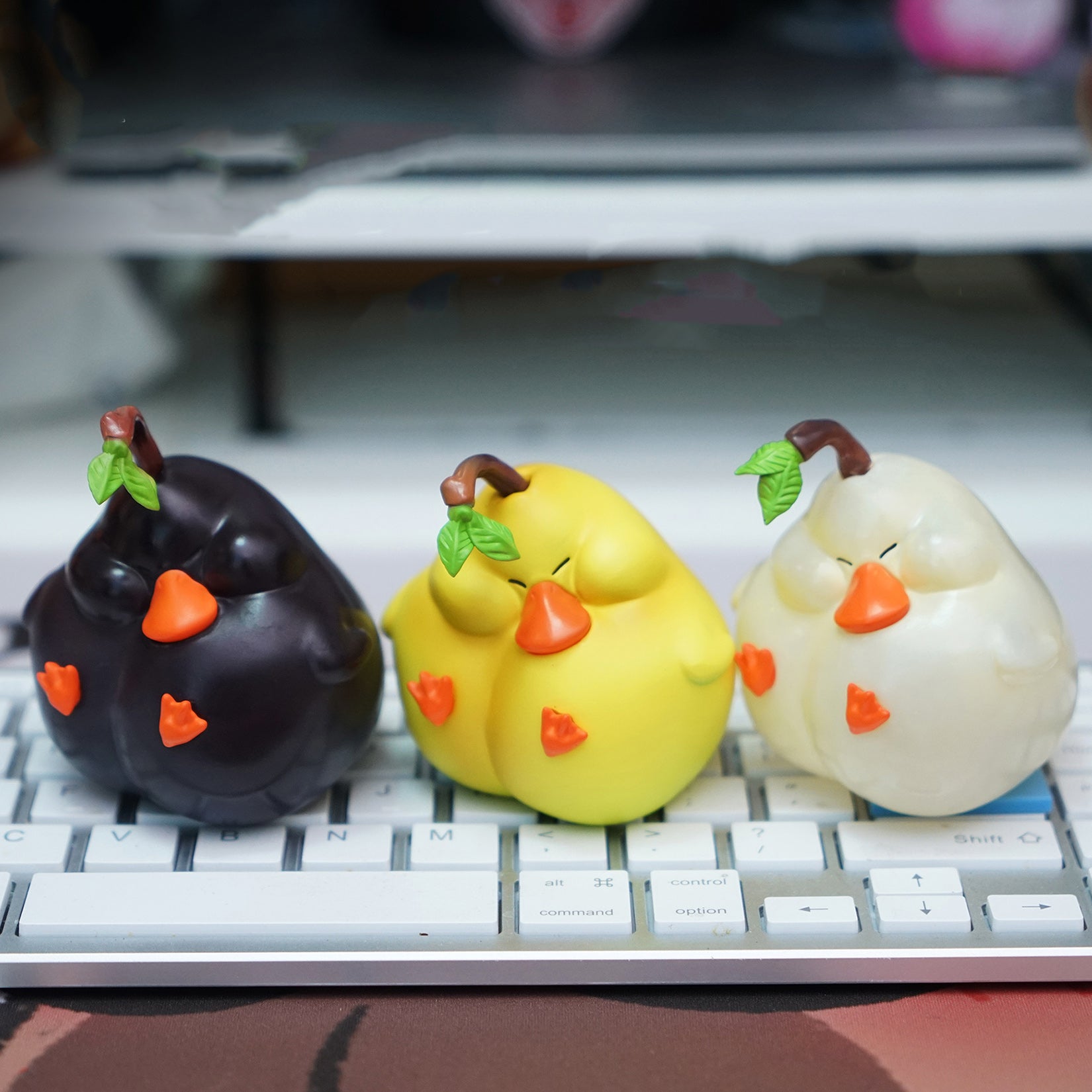 Pyrus Bretschneideri Rehder Model