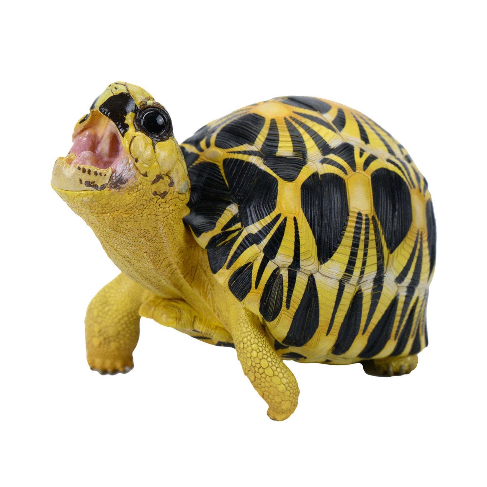 Animal Heavenly Body  Geochelone Radiata Turtle Figurine