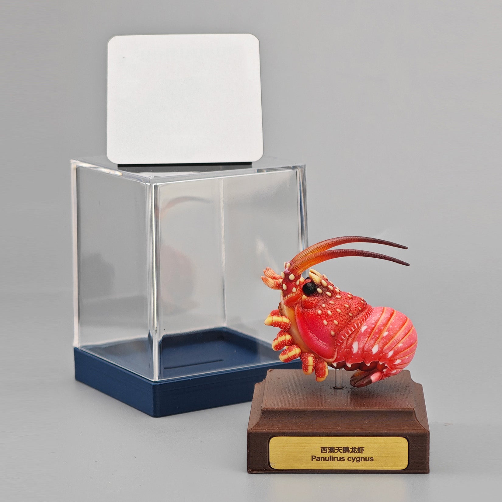 ViVid Studio Western Rock Lobster Figure