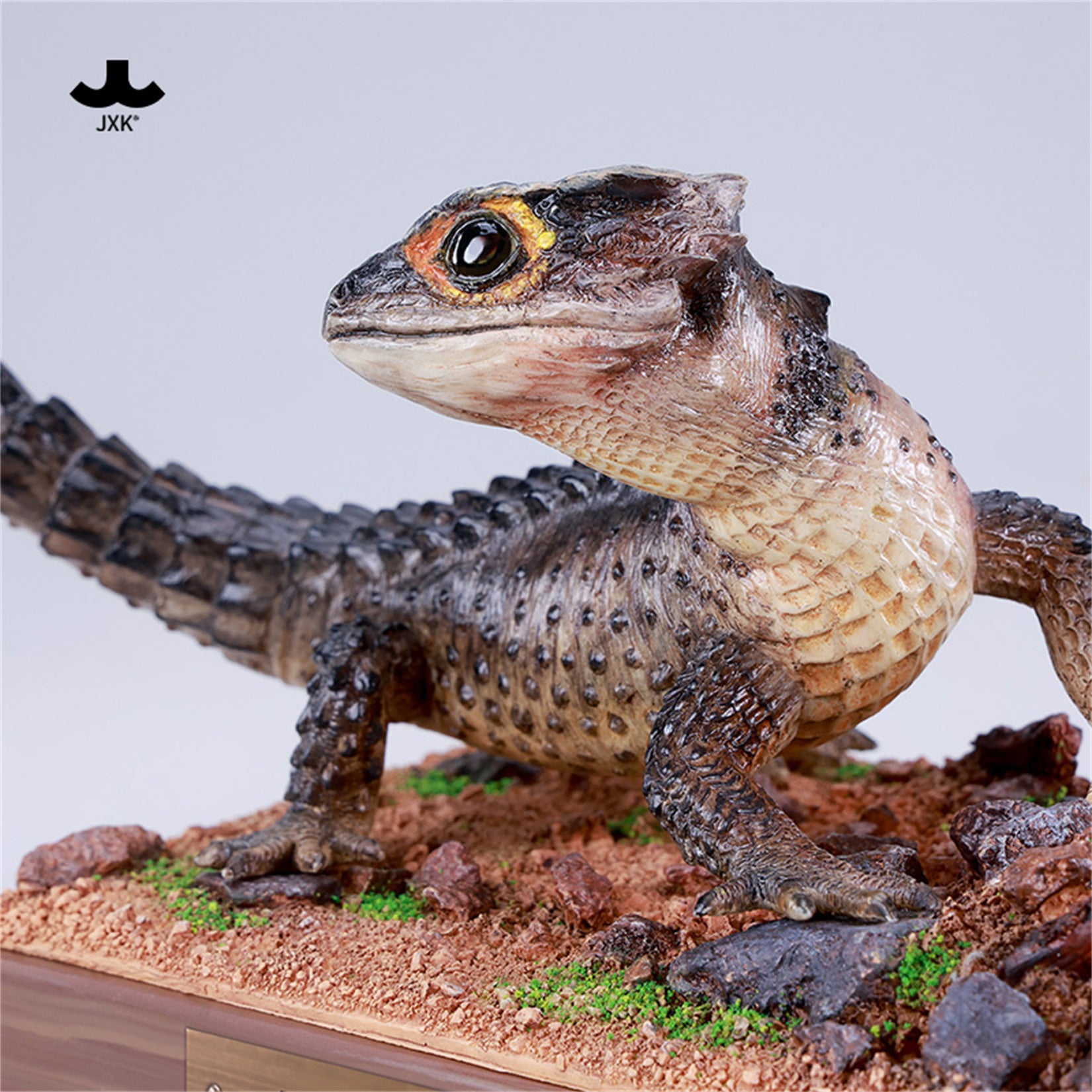 JXK Studio Tribolonotus gracilis Model
