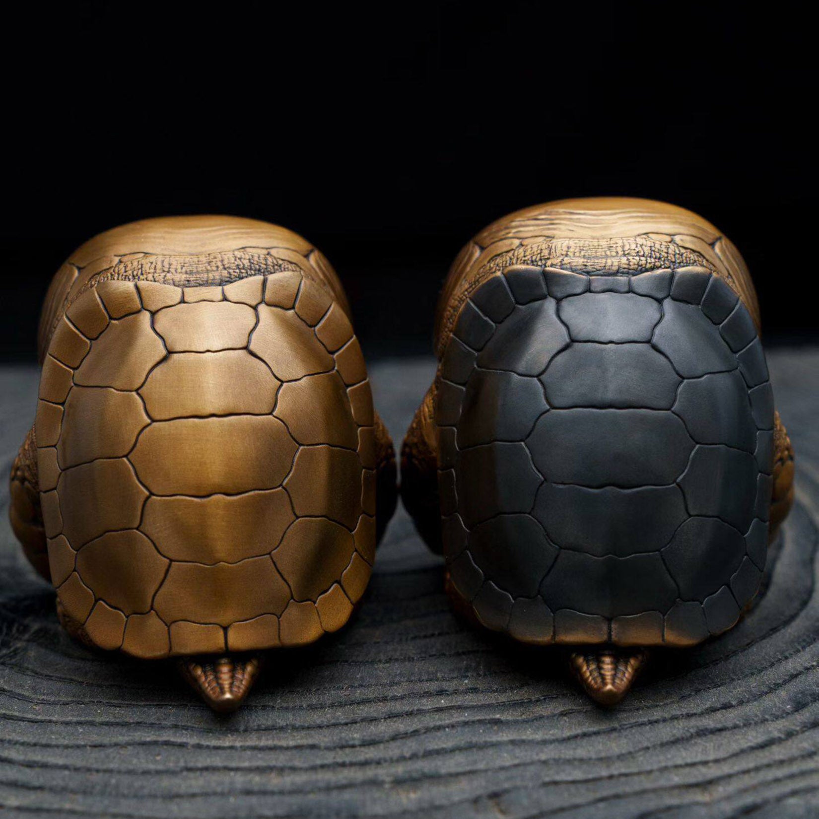 BOWUZHI Studio Bronze Turtle Series Model