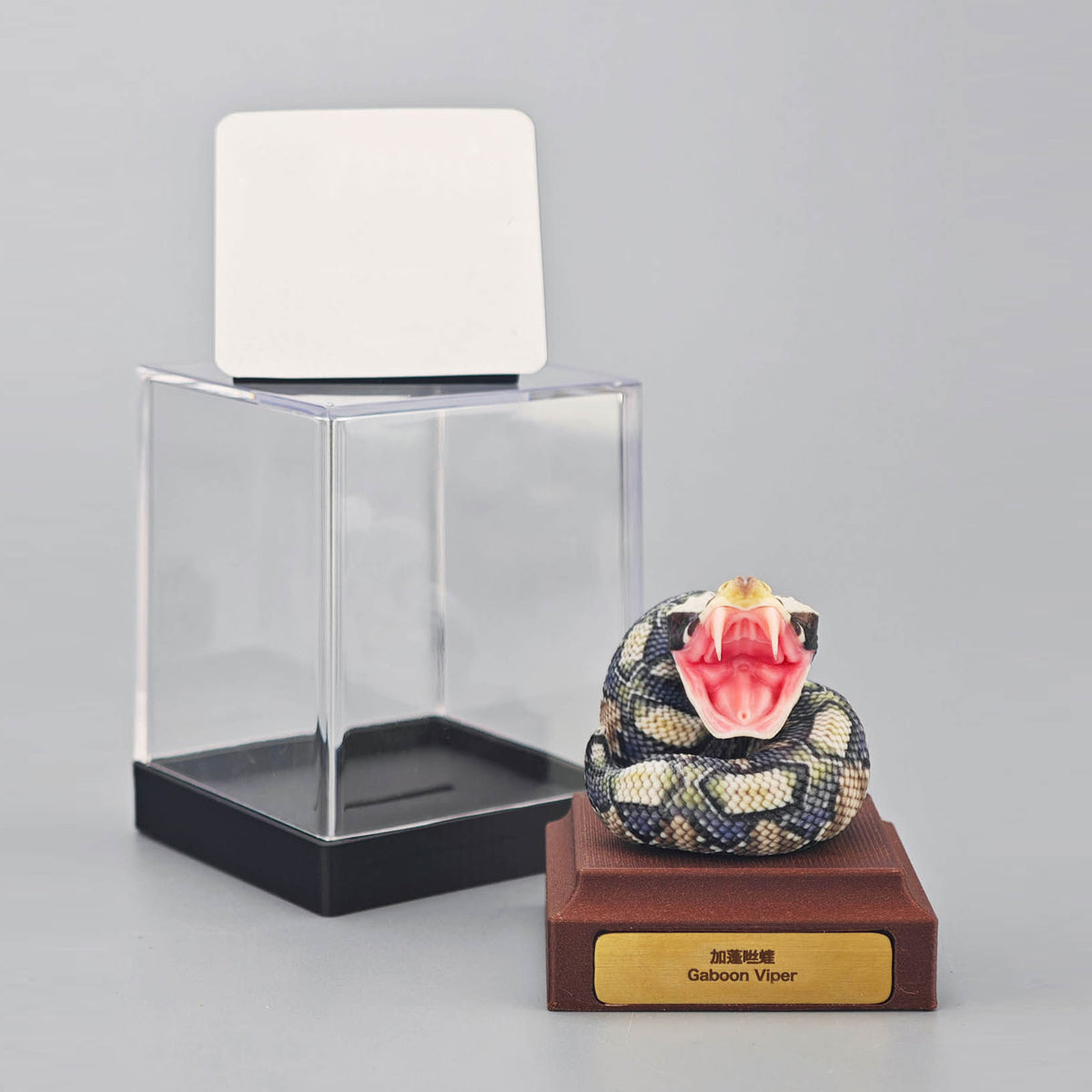 ViVid Studio Rhinoceros Viper & Gaboon Viper Model
