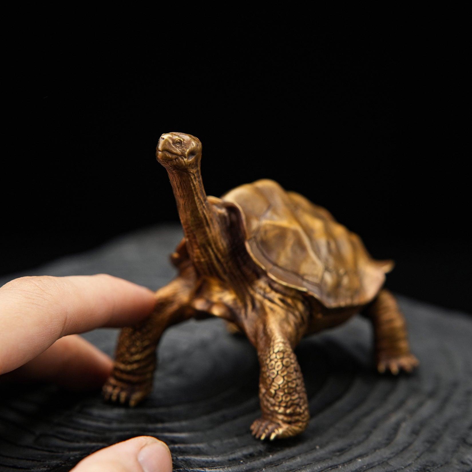 BOWUZHI Studio ‌Galapagos Giant Tortoise Figure