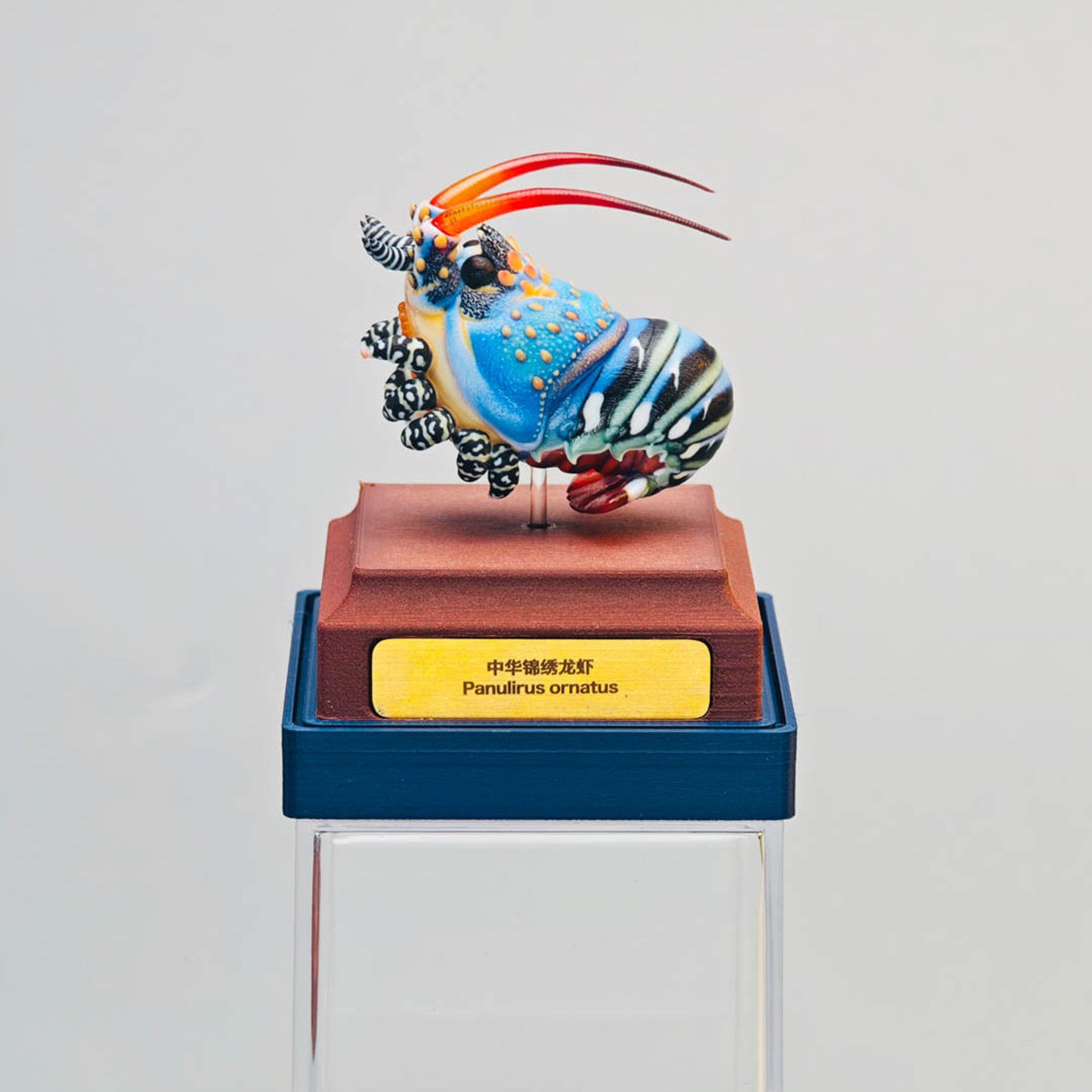 ViVid Studio Ornate Spiny Lobster Model