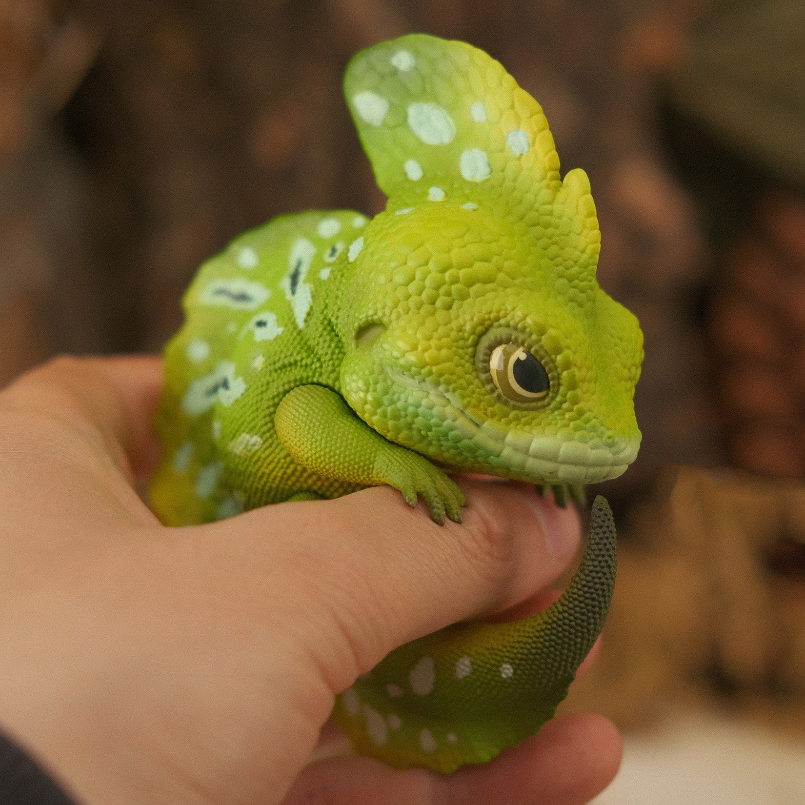 BOWUZHI Studio  Lizards 1.0 Blind Box Model