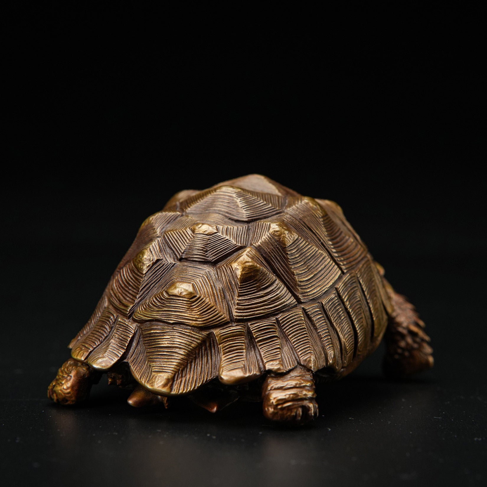 BOWUZHI Studio Sahel Tortoise Bronze Edition Model