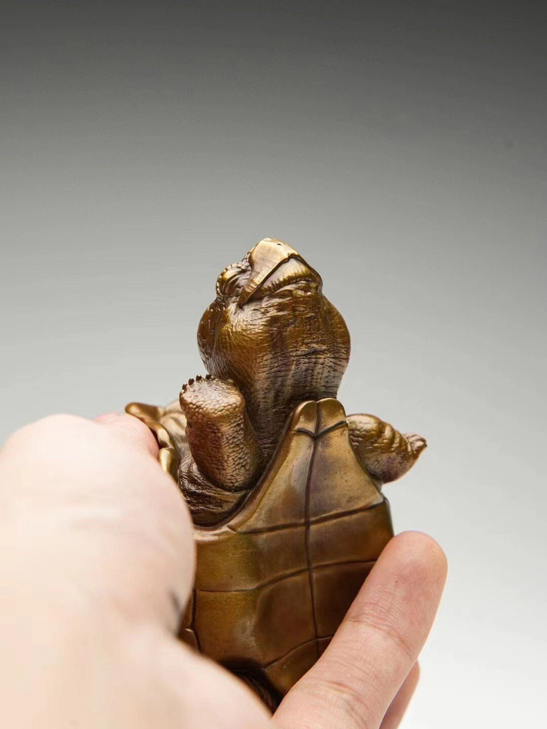 BOWUZHI Studio Galápagos Giant Tortoise Bronze Model