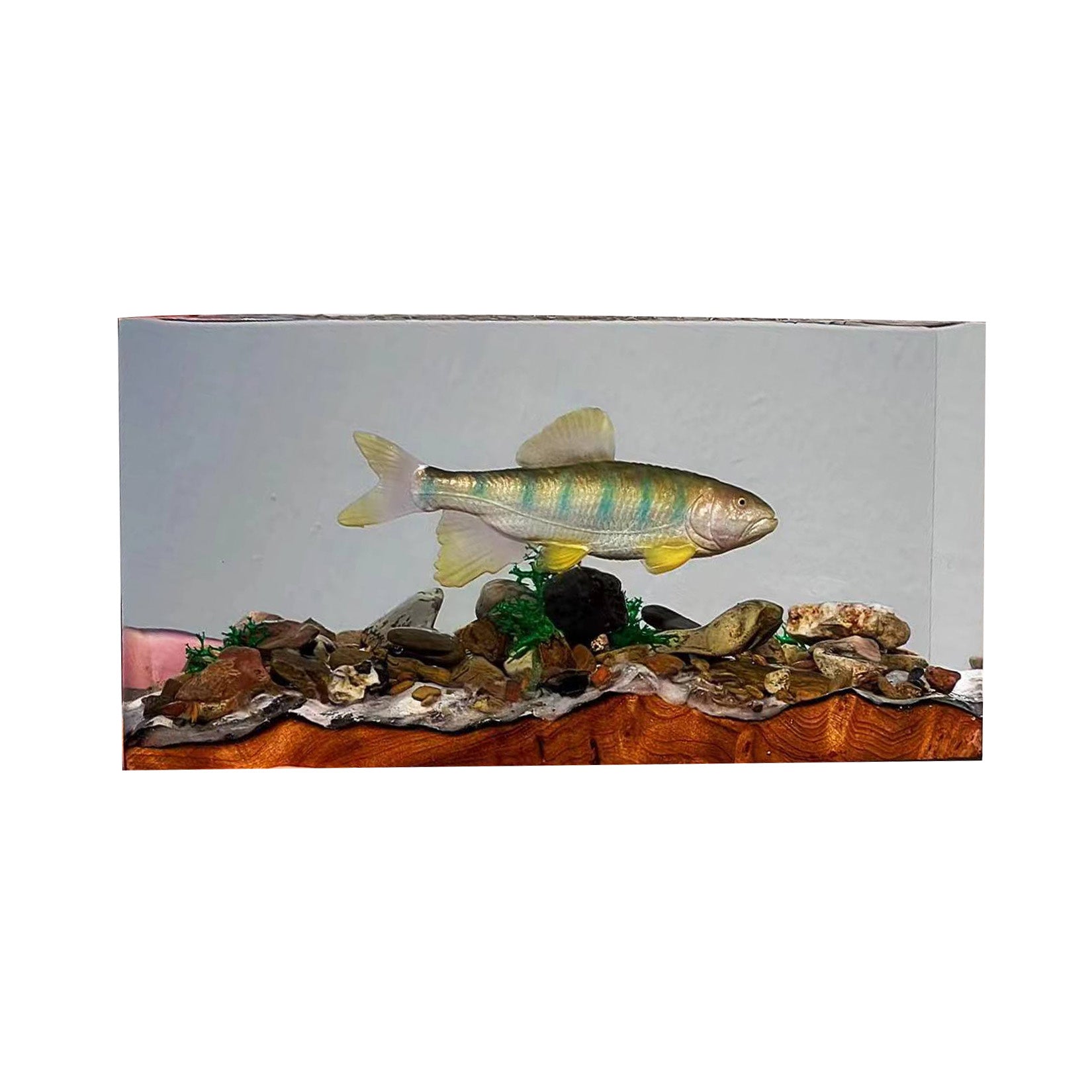 Ochetai Barbel Night Light Fish Figurine