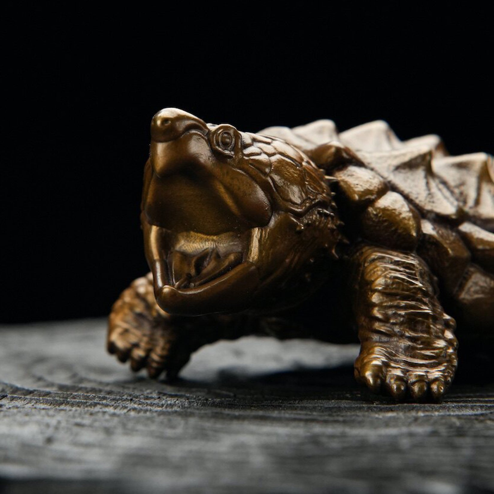 BOWUZHI Studio Macrochelys Temminckii Bronze Model