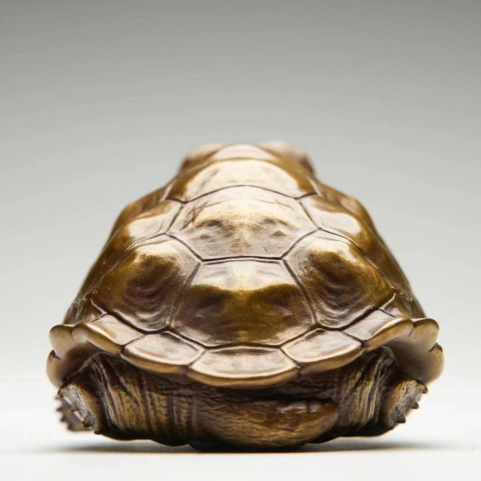 BOWUZHI Studio Chelonoidis Niger Bronze Model