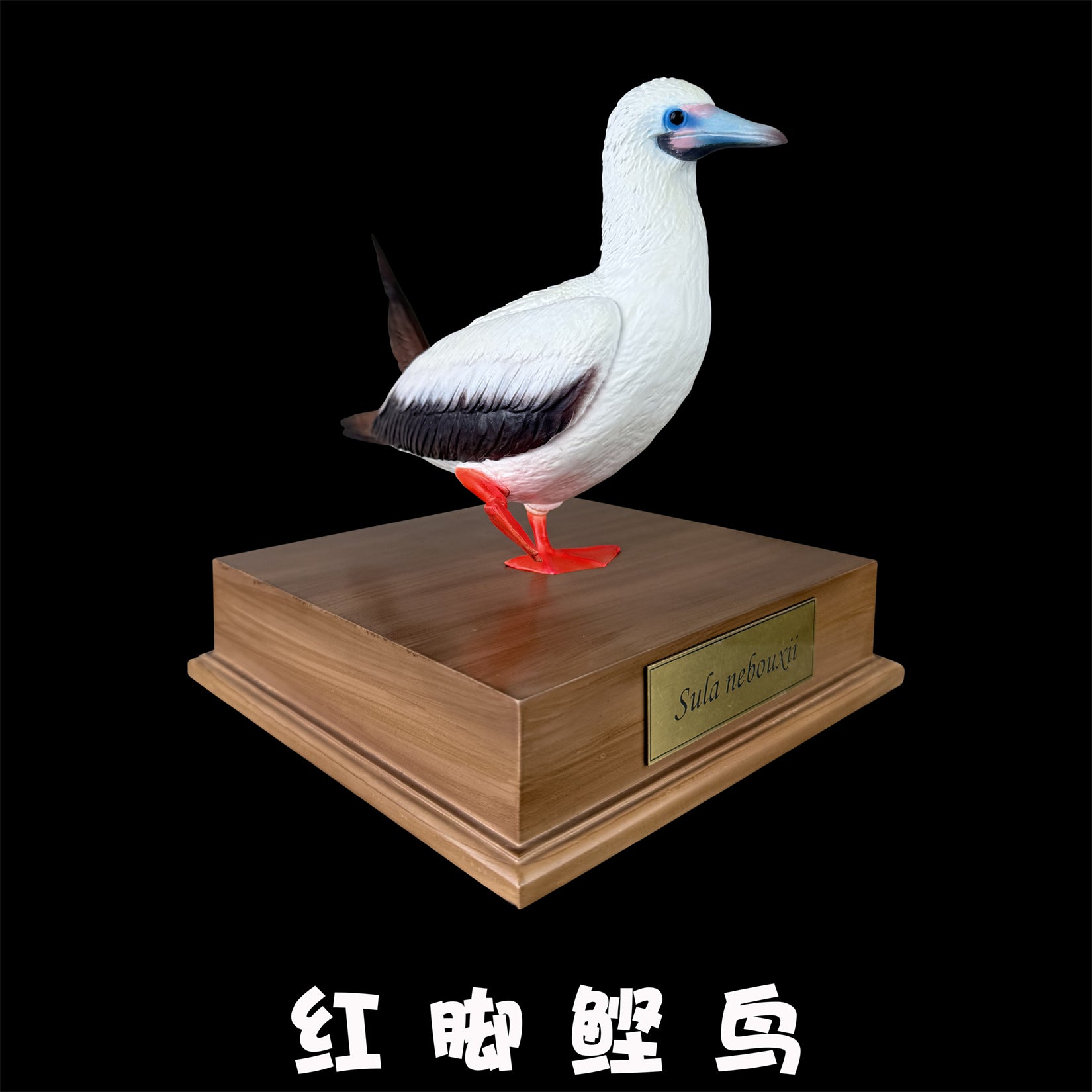 BOWUZHI Studio Red-Footed Booby Bird Figurine