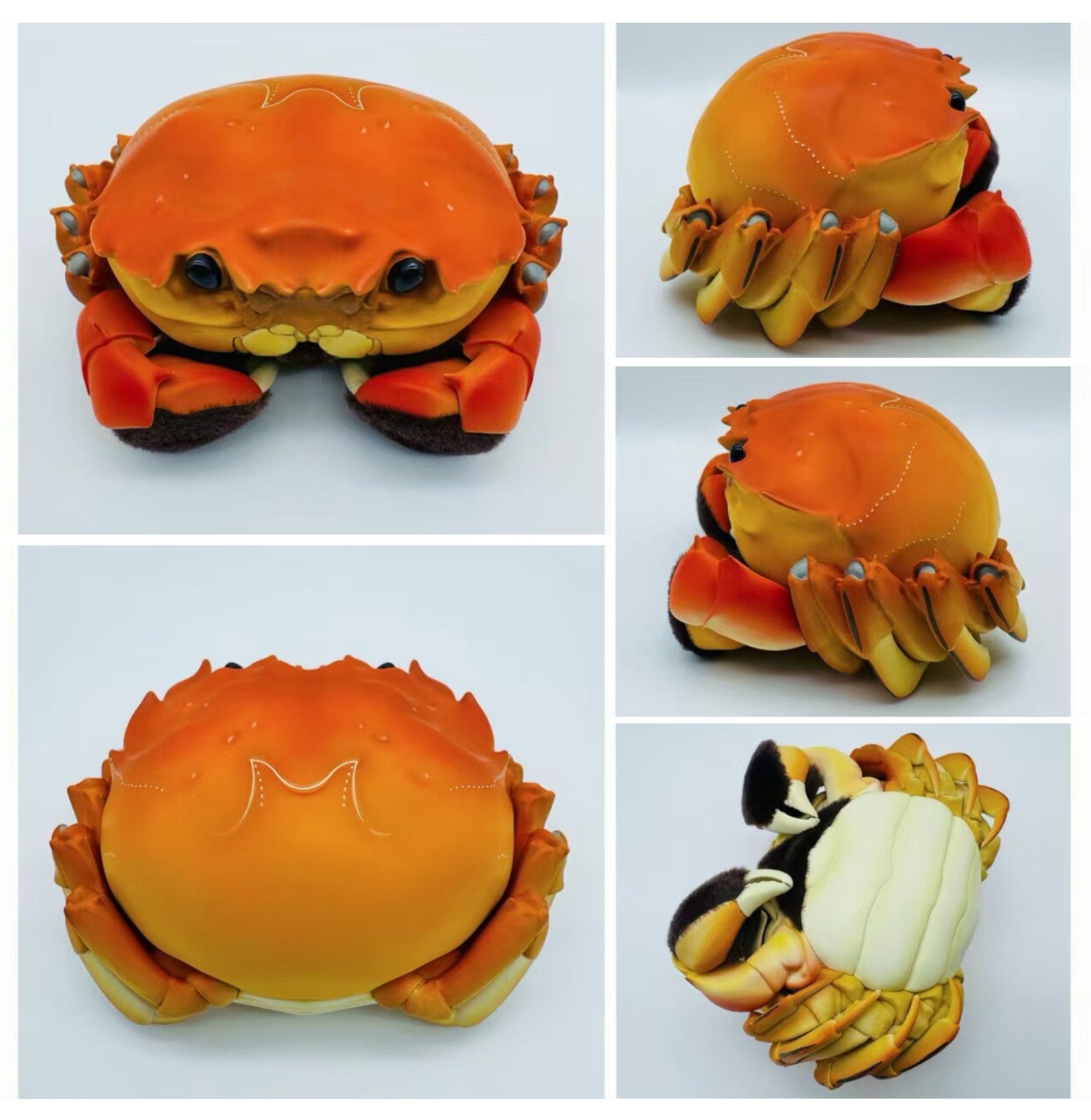 Animal Heavenly Body Chinese Mitten Crab PLUS‑Version Model