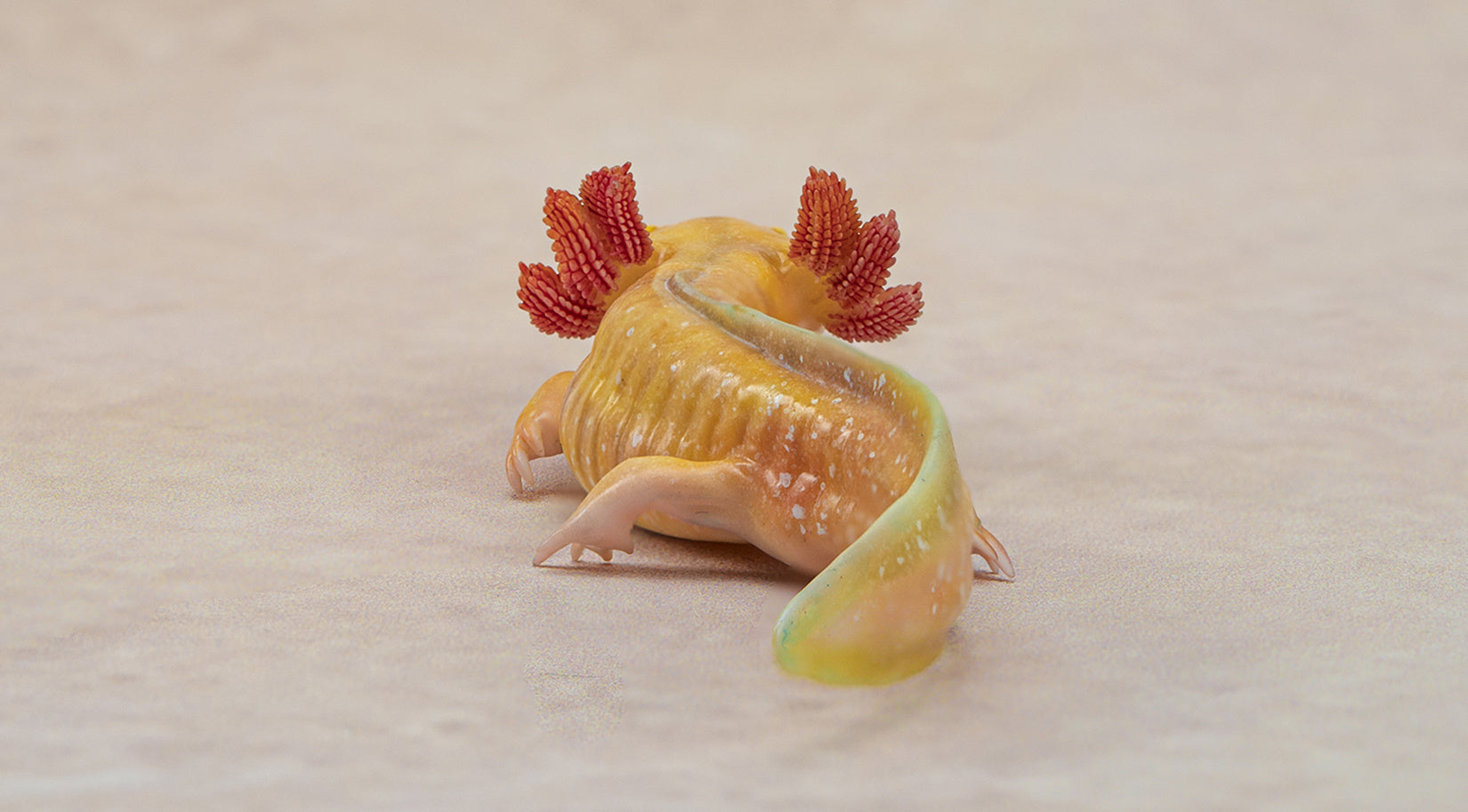 1：2 Scale Ambystoma Mexicanum Model Axolotl Figure