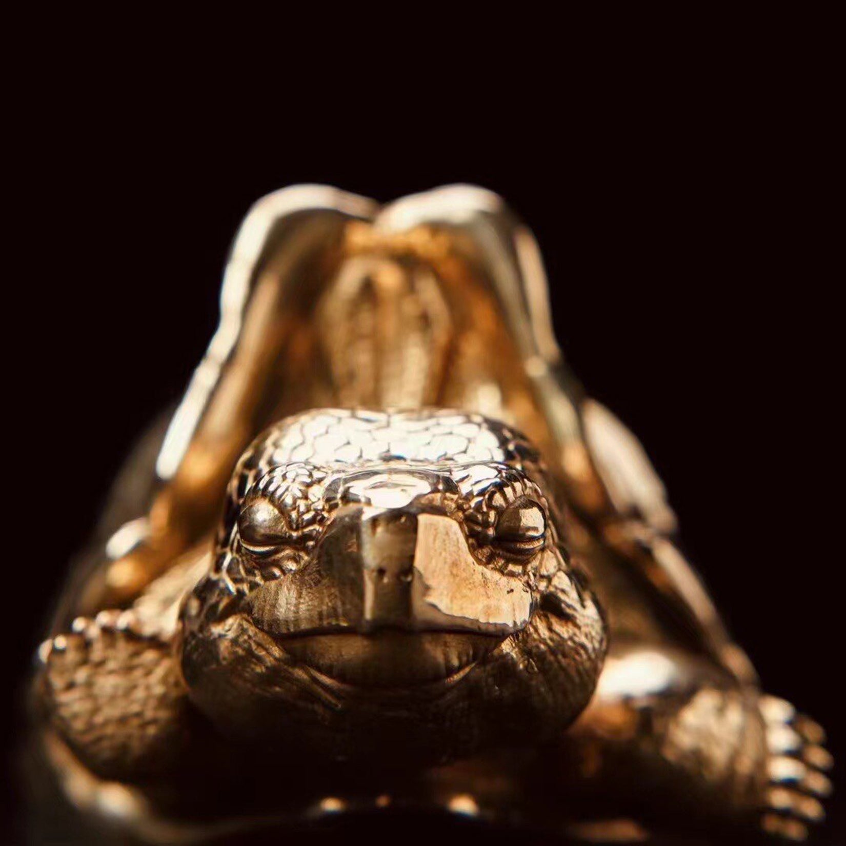 BOWUZHI Studio Galapagos Elephant Turtle Model