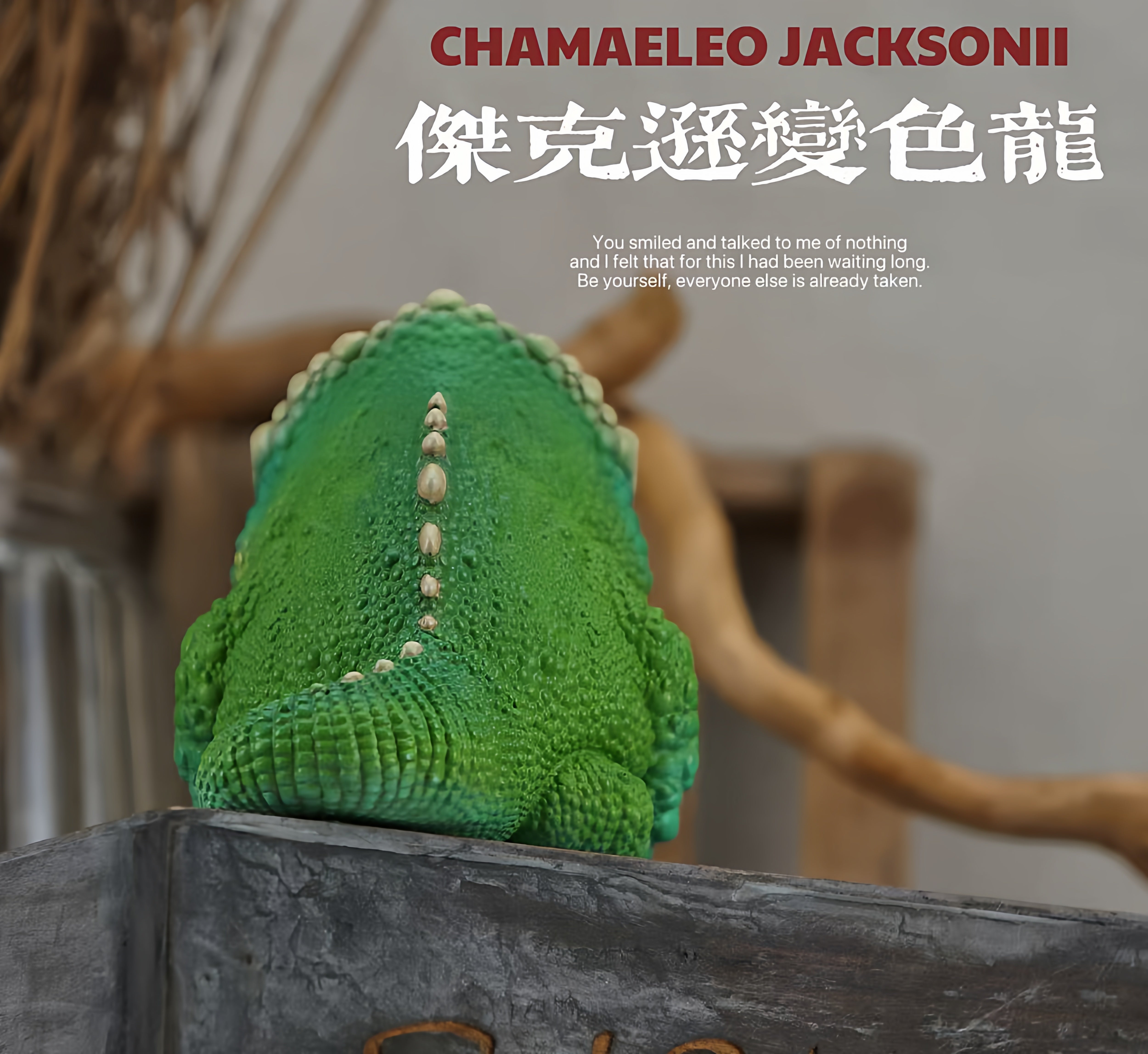 Chamaeleonidae Model Reptile Pet Animal Figure