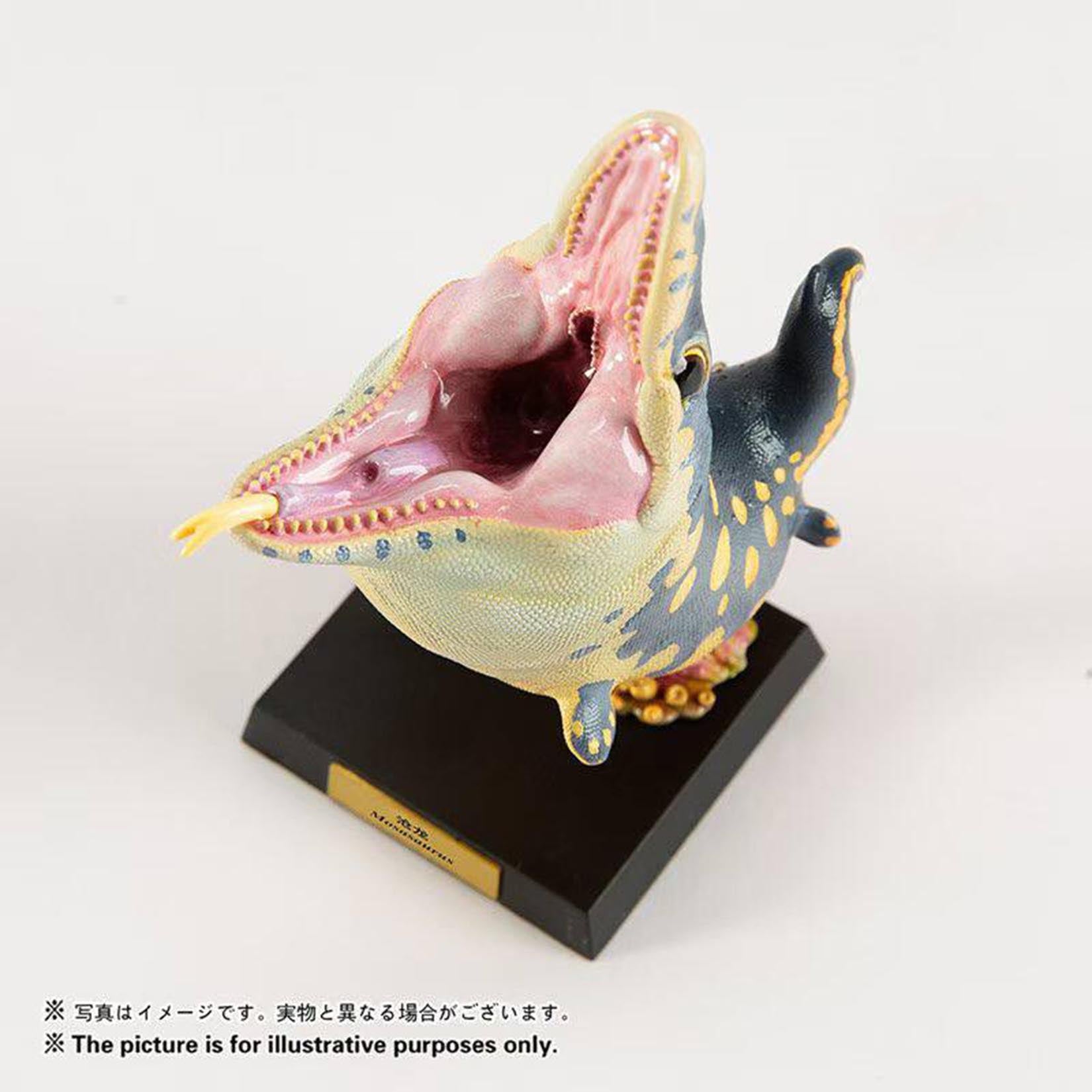 Animal Heavenly Body  Elasmosaurus Mosasaurus Liopleurodon Model