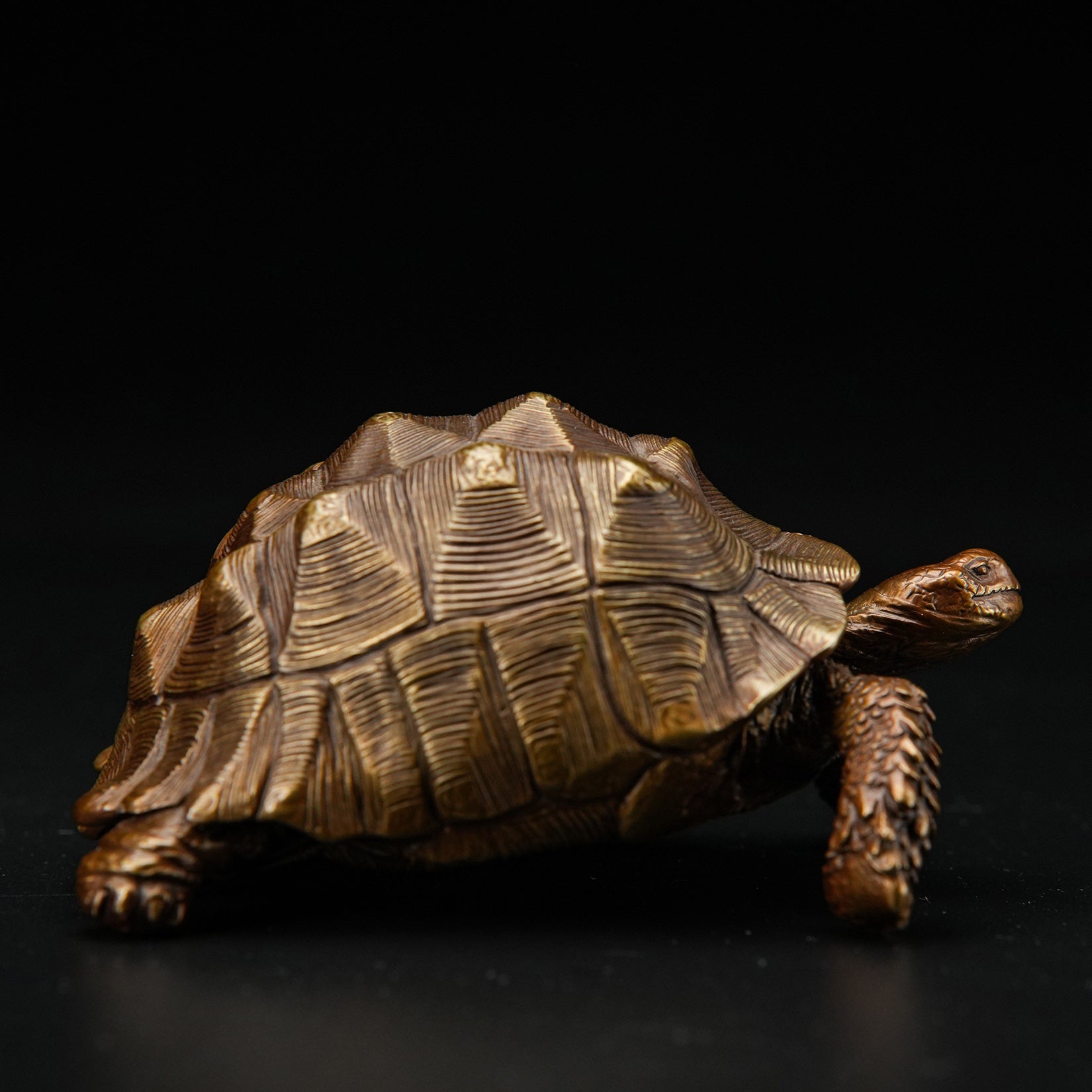 BOWUZHI Studio Sahel Tortoise Bronze Edition Model