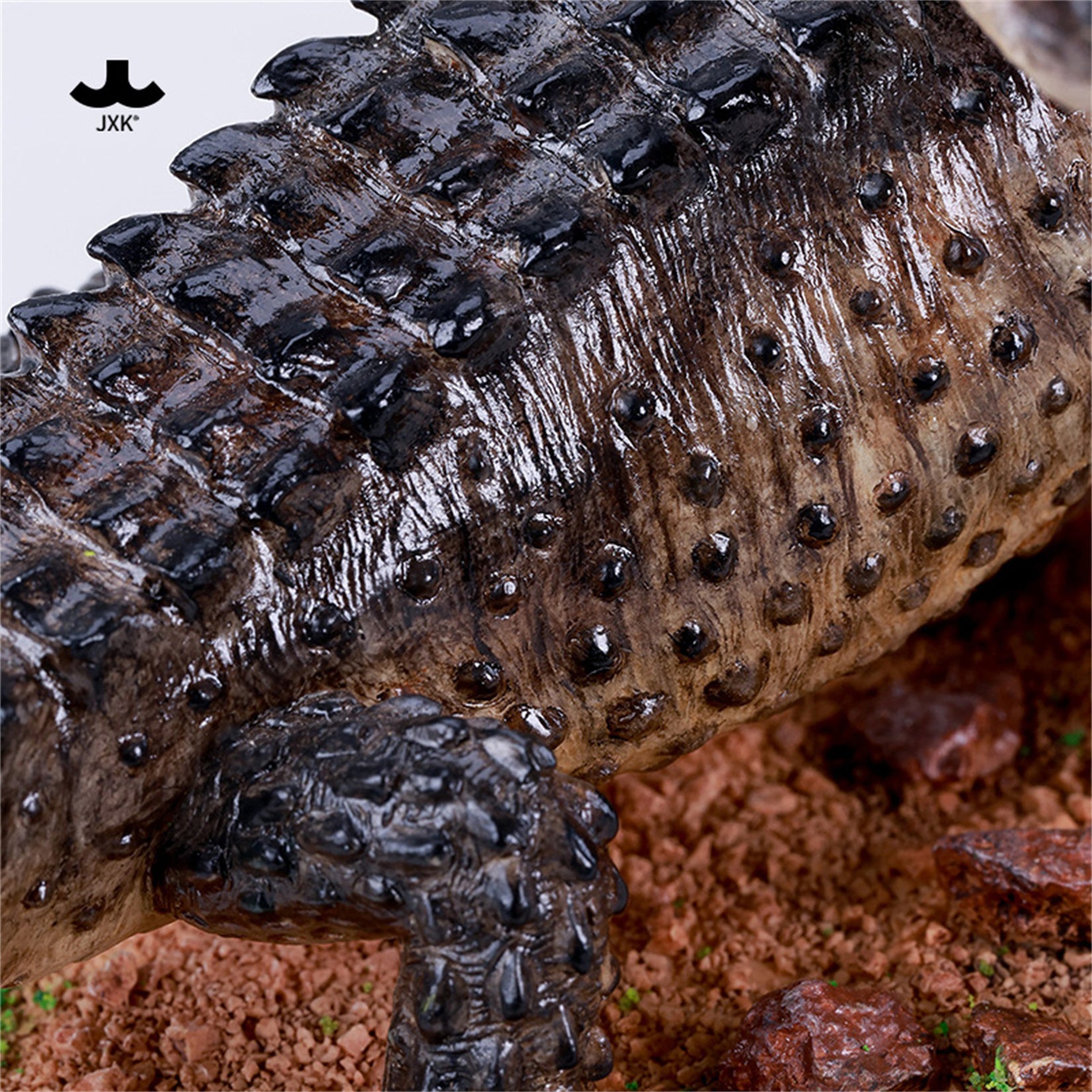 JXK Studio Tribolonotus gracilis Model