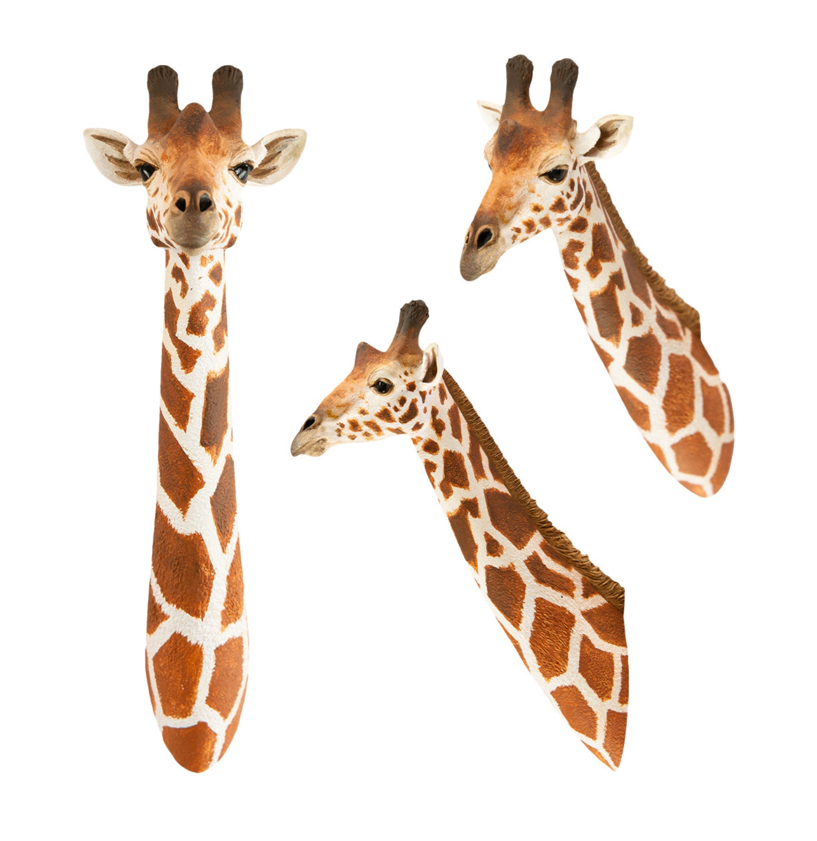 Animal Planet  World Encyclopedia Of Animals Volume 2