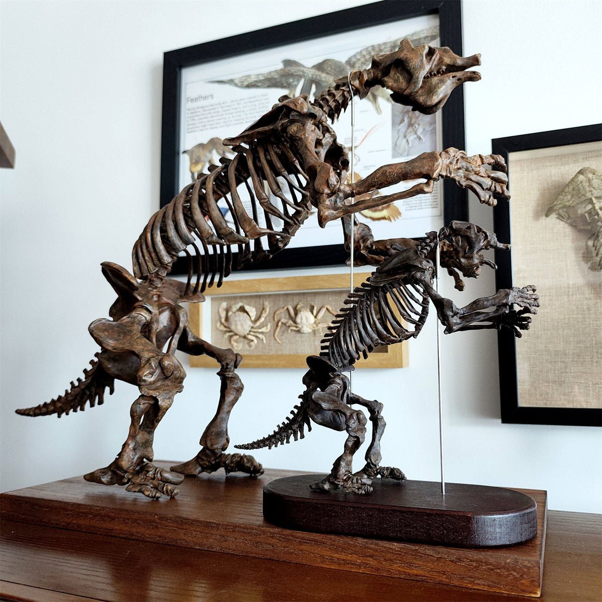 3D Printed 1:20 Scale Megatherium Skeleton Model