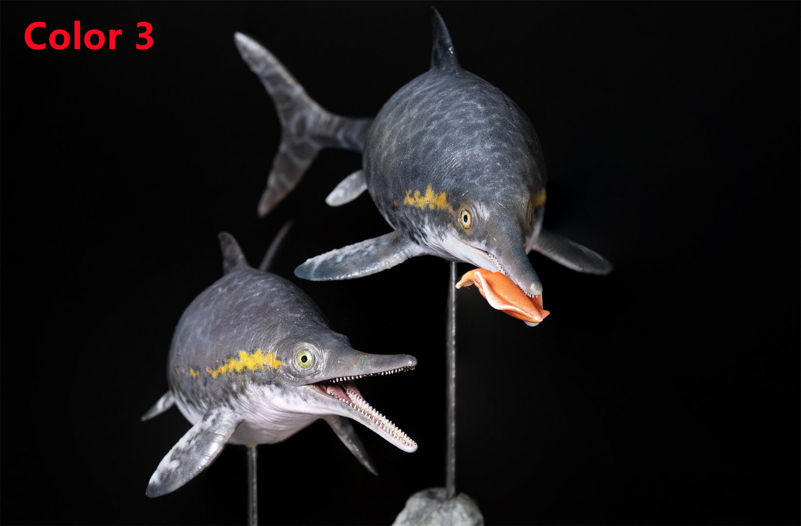 De CLAY Studio Ophthalmosaurus icenicus Model