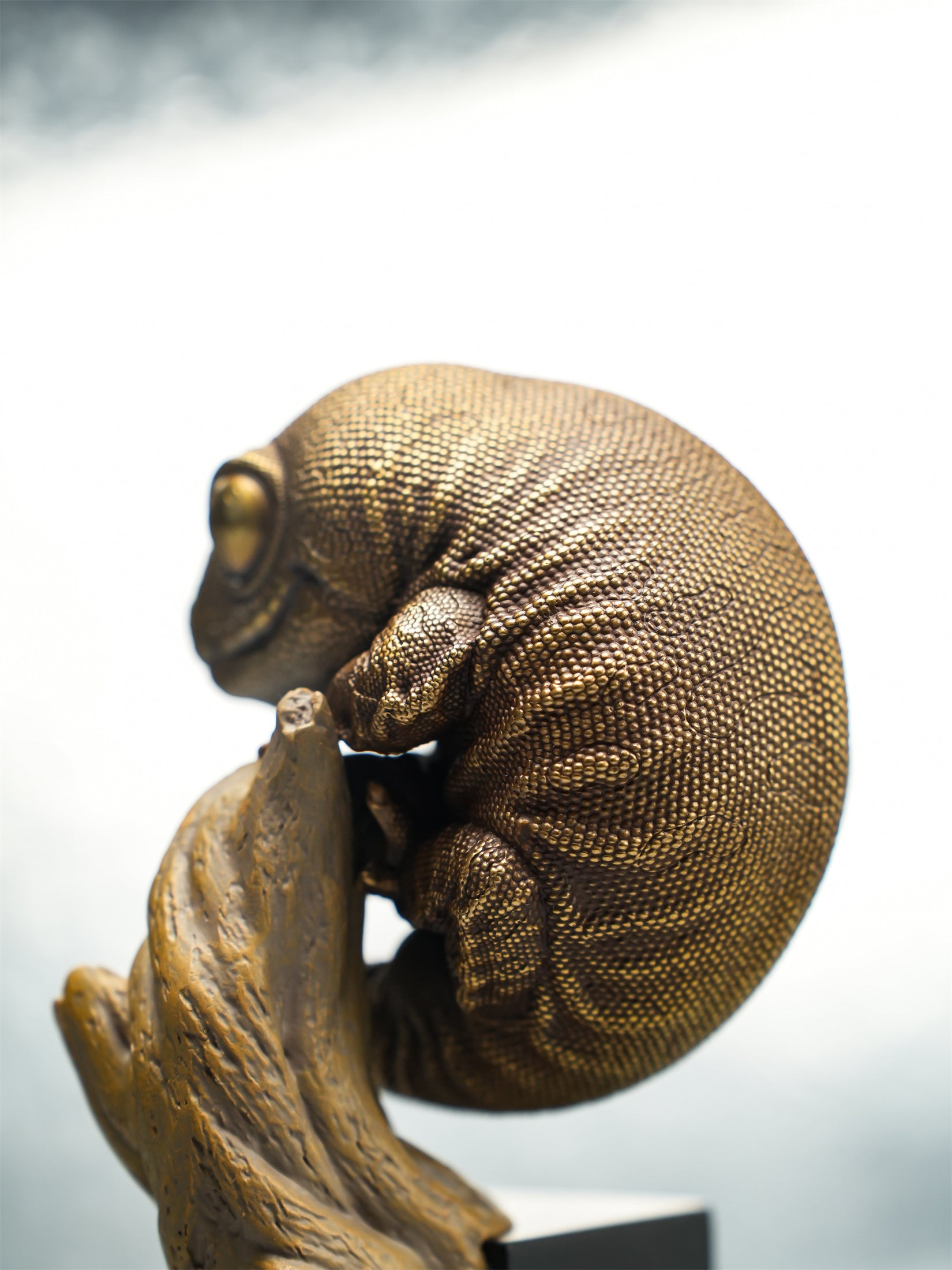 Rhacodactylus Leachianus Figure