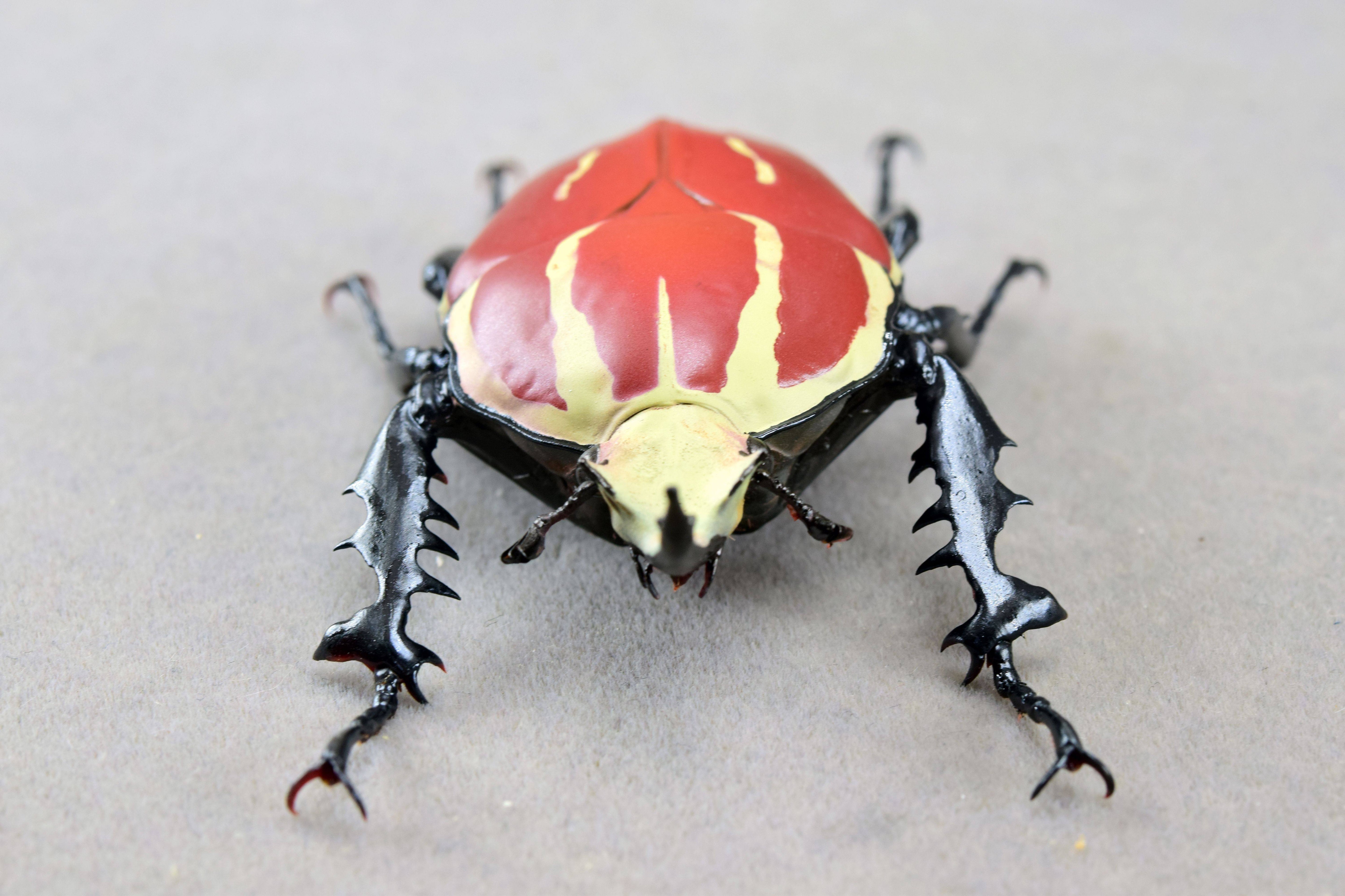 Wunderschöne Chemiepuppe im Maßstab 1:6 