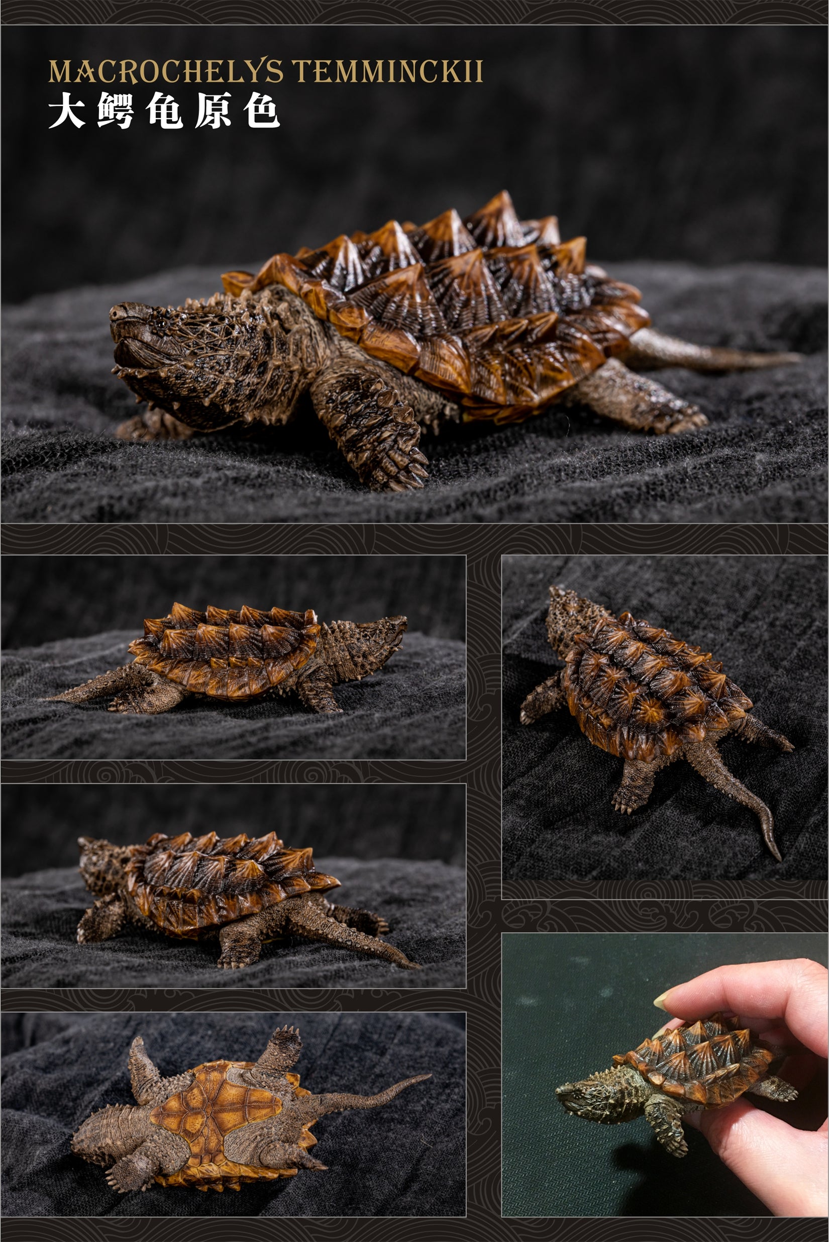Turtle Model Series